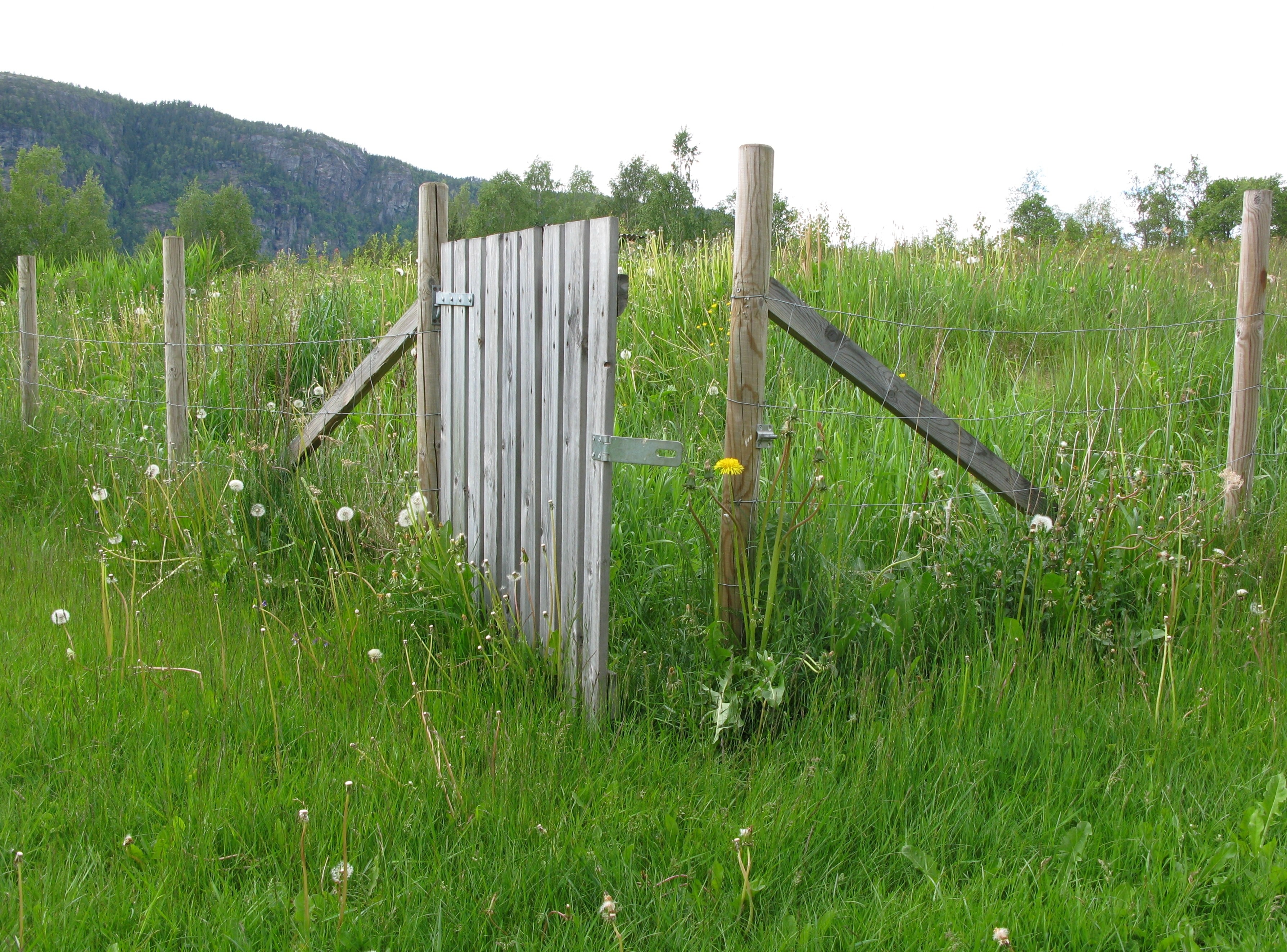 security, 2K, fence, wire, silent, demarcation, beauty in nature, growth, barrier, sky, nature, green, wood - material, landscape, grass, plant, outdoors, HD Wallpaper