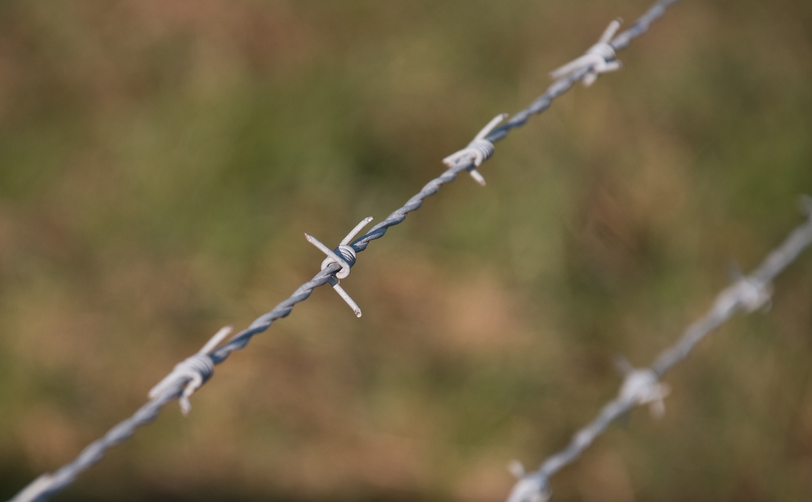 warning sign, protection, close-up, focus on foreground, sharp, no people, fence, pointed, 2K, obstacle, nature, wire mesh, security, wire, barbed wire, HD Wallpaper