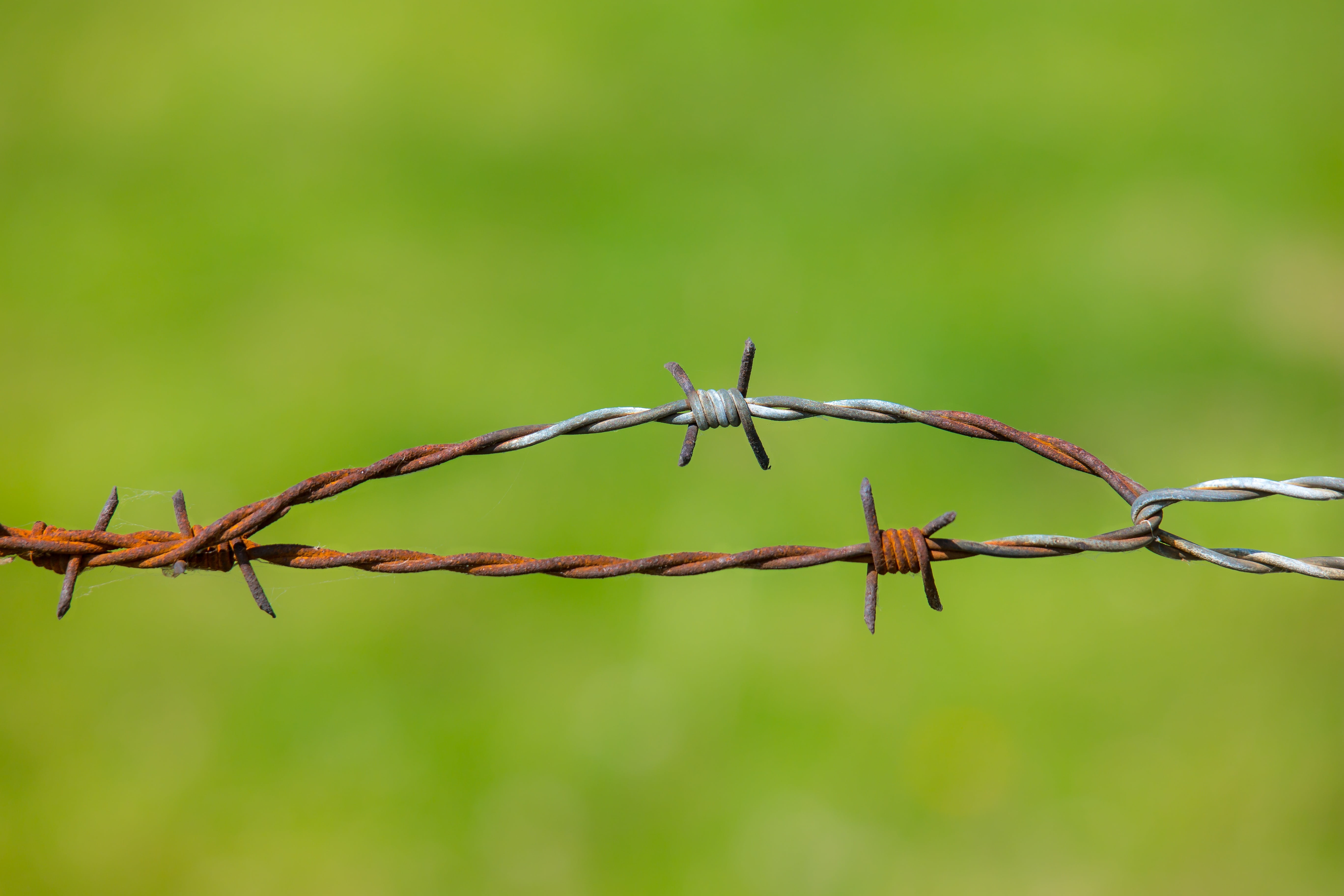 spiked, outdoors, barrier, old, protection, pasture fence, 5K, green, boundary, warning sign, demarcation, rusted, no people, pasture, metal, depth of field, HD Wallpaper