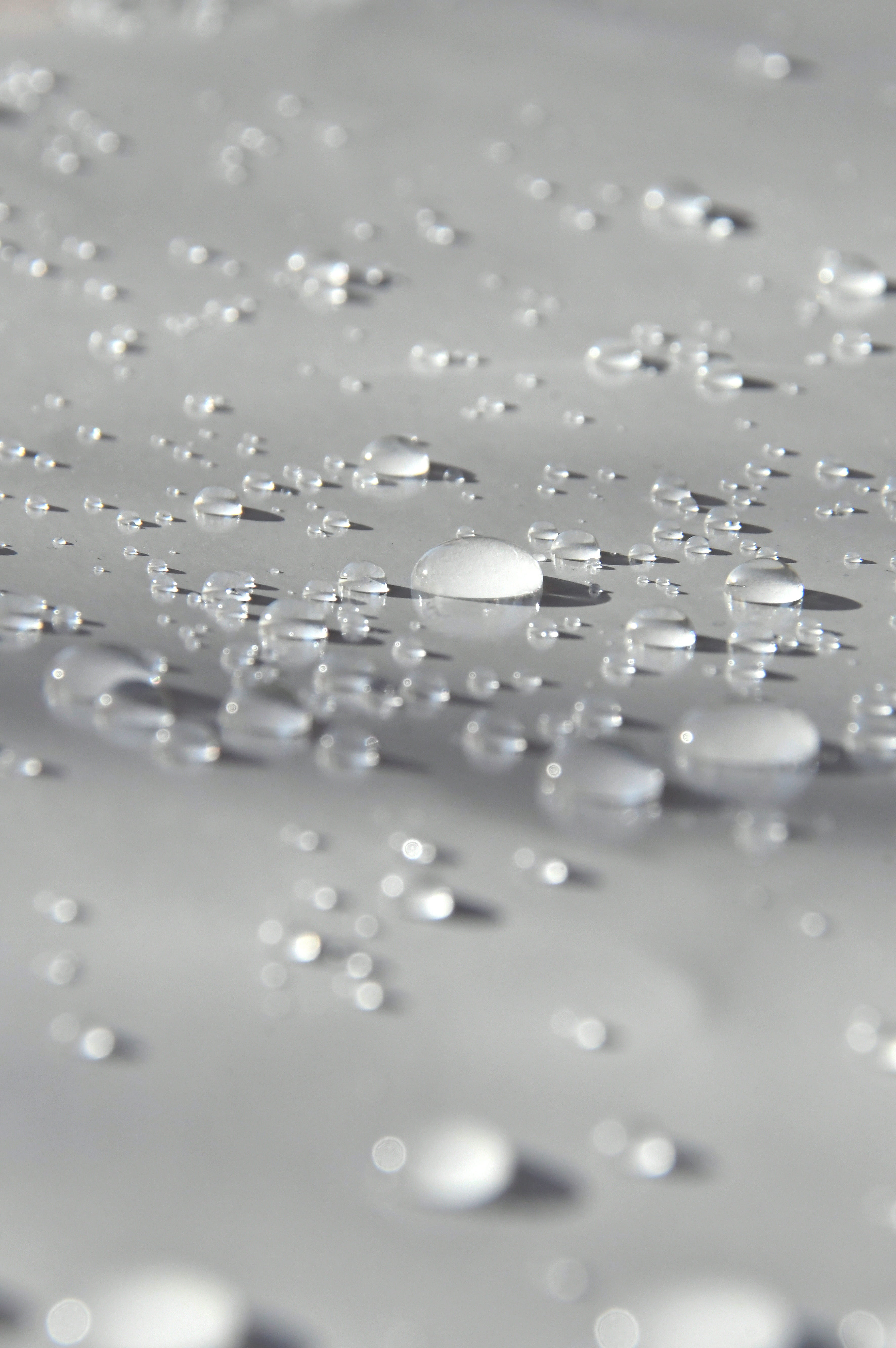 large group of objects, glamour, close-up, abundance, selective focus, white color, still life, water droplets, rain, high angle view, brightly lit, no people, Phone HD Wallpaper