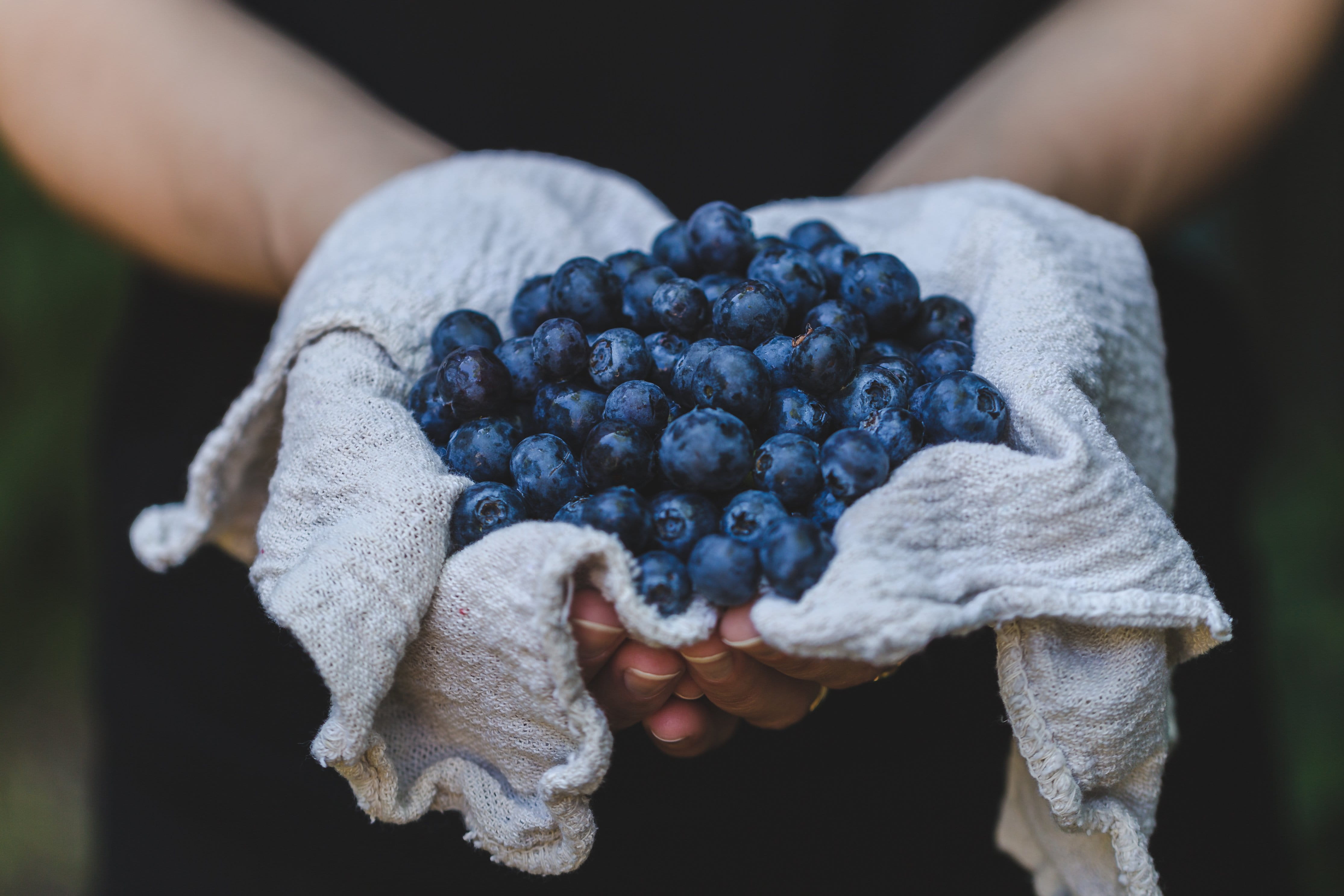human hand, finger, wellbeing, food and drink, close-up, healthy eating, photo, holding, human limb, Food, Harvest, one person, handful, freshness, agriculture, HD Wallpaper