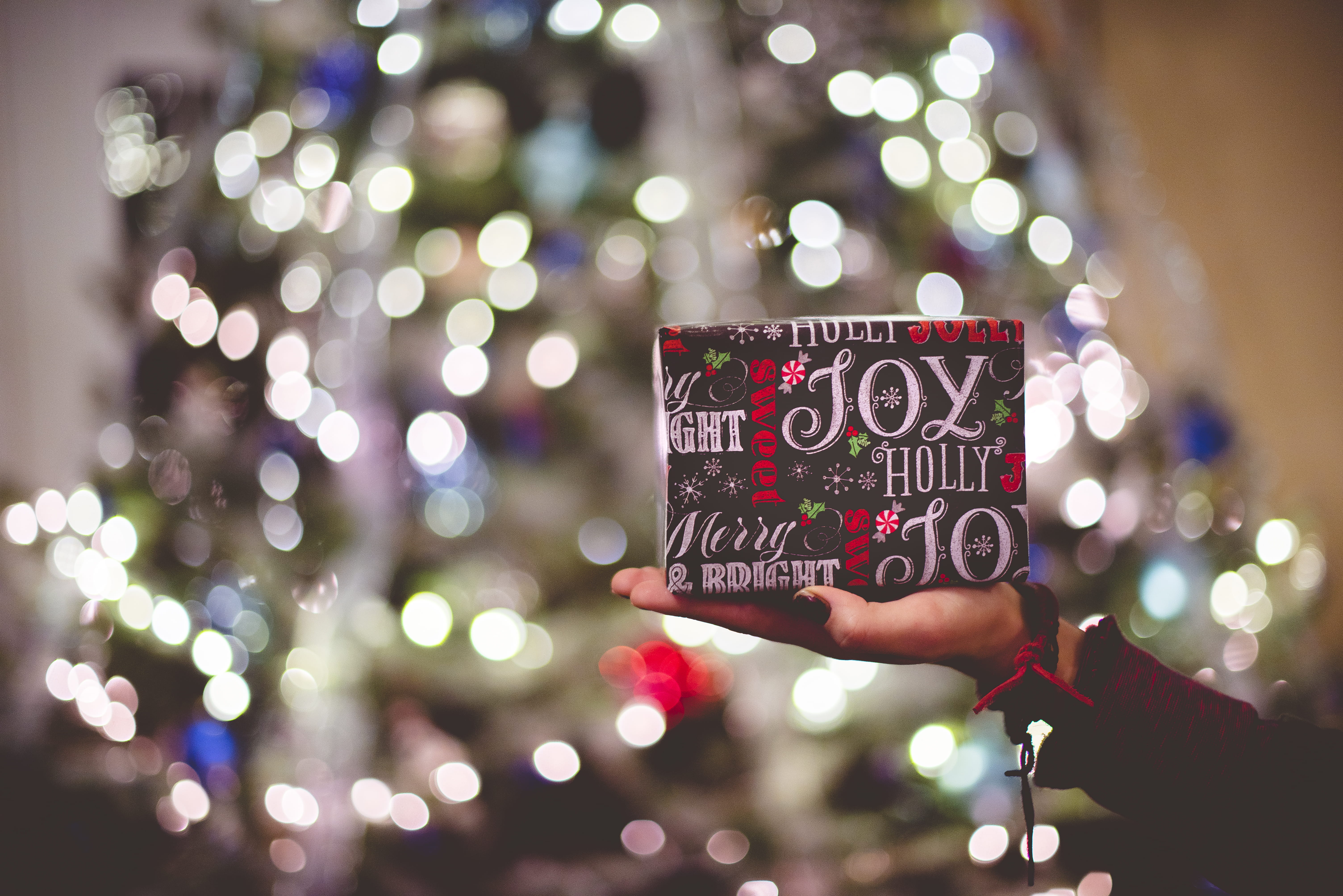 s, hand, hodling, focus, night, holding, celebration, selective, winter, message, human body part, selective focus, human hand, person, western script, HD Wallpaper