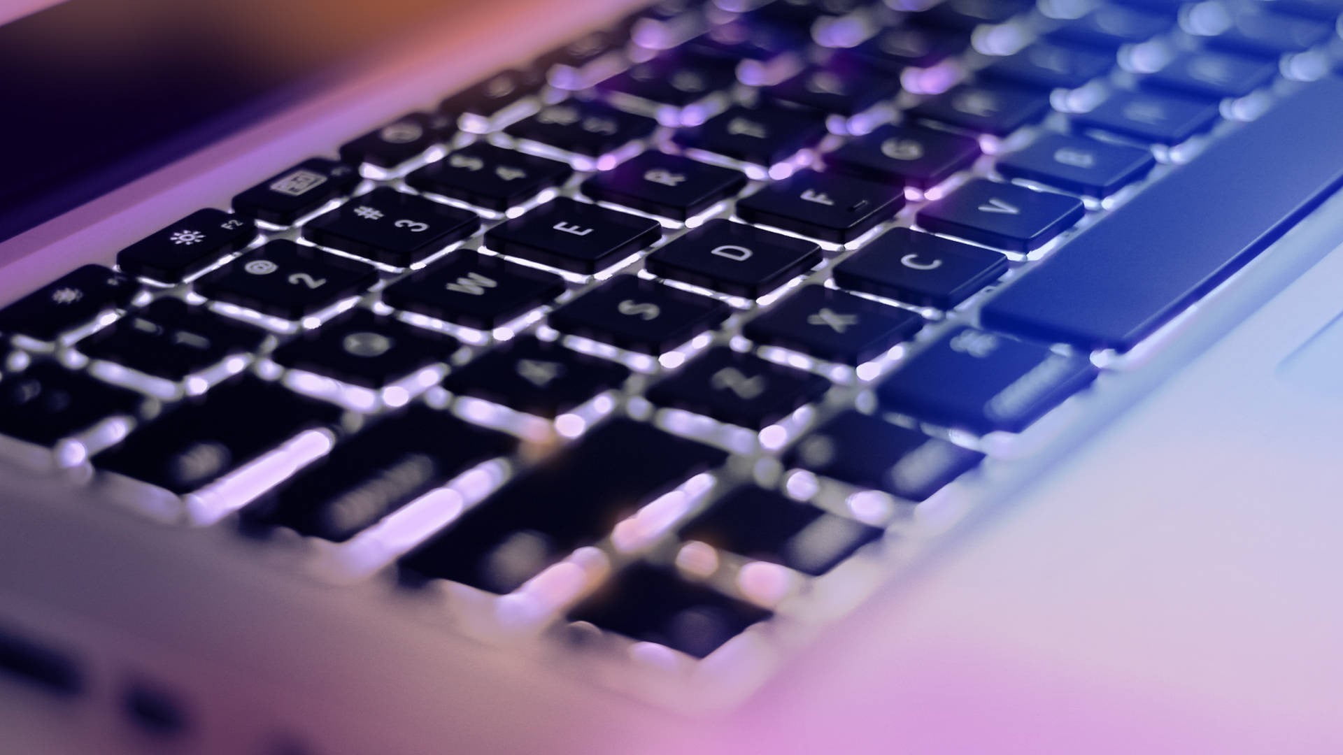 purple, computer part, internet, single object, computer keyboard, computer, wireless technology, electrical equipment, selective focus, computer network, HD Wallpaper
