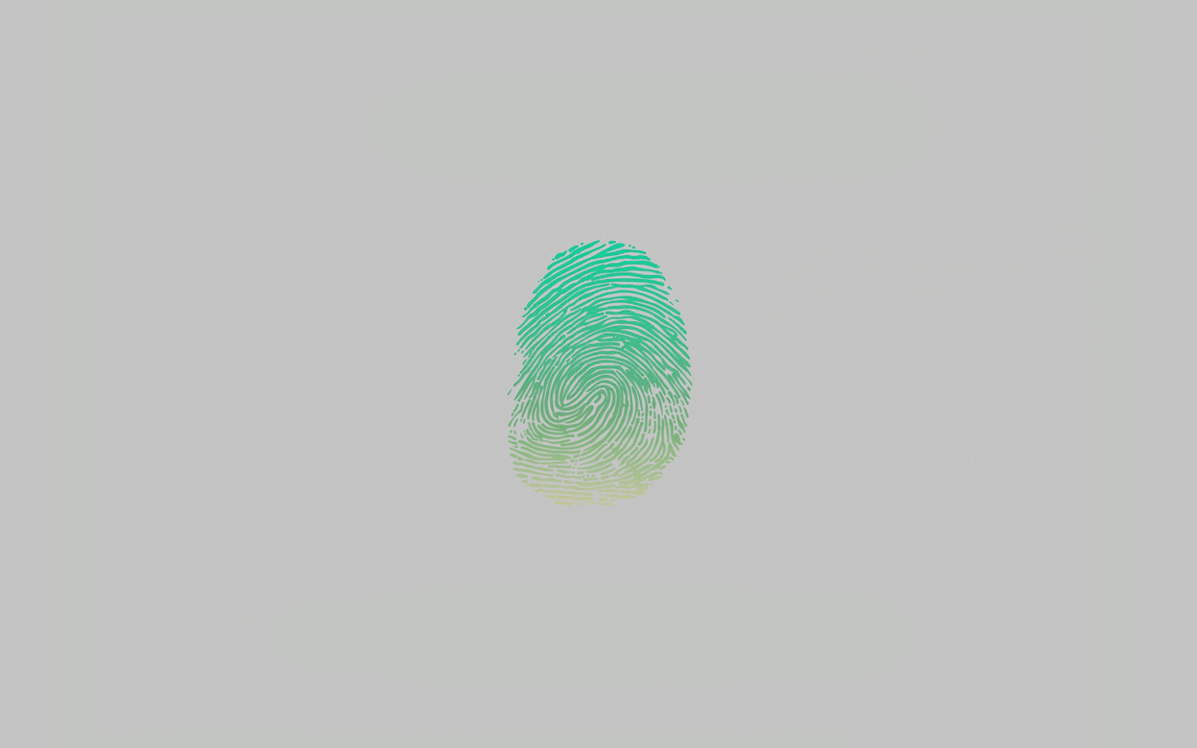 security, pattern, indoors, shape, art, fingerprint, print, 4K, paper, green color, copy space, single object, unlock, green, no people, minimal, studio shot, HD Wallpaper