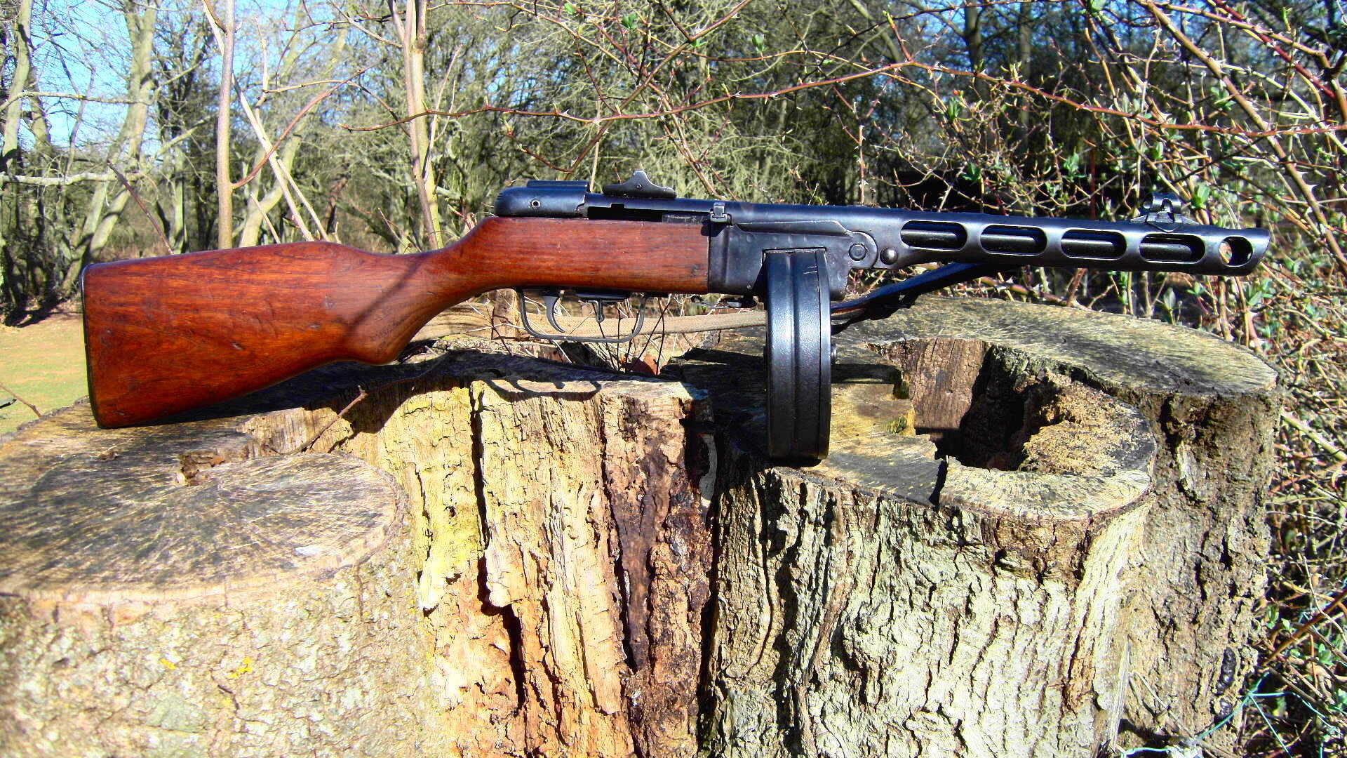 timber, tree, rifle, Shpagina, trunk, day, tree trunk, security, 1080P, no people, wood - material, wood, the gun, bark, log, land, brown, forest, gun, HD Wallpaper