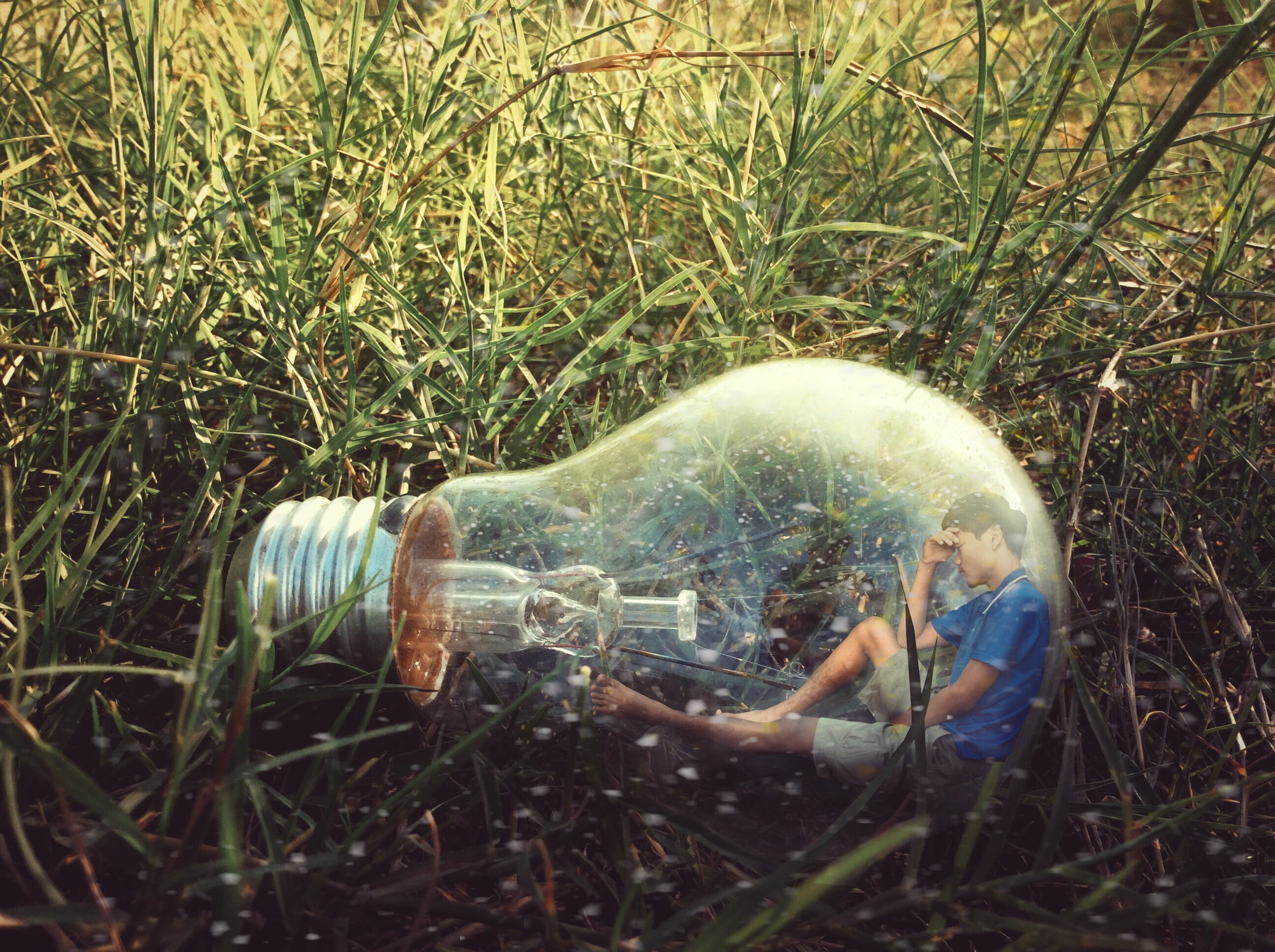 green color, grass, daytime, land, cut here, outdoors, glass, growth, light Bulb, landscape, have a headache, antique lamp, 2K, technology, mr handsome, HD Wallpaper
