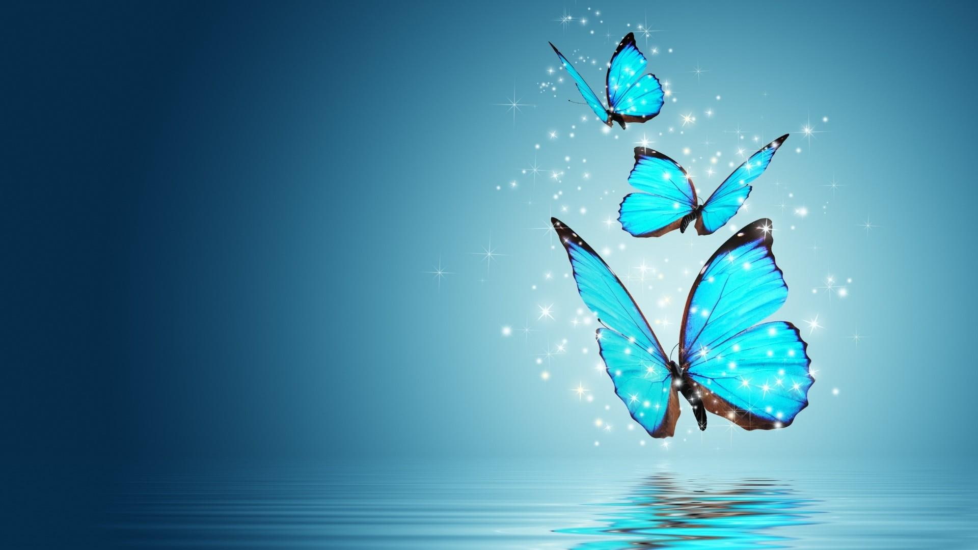 abstraction, butterfly, water, 1080P, art, neon, evening, abstract, HD Wallpaper