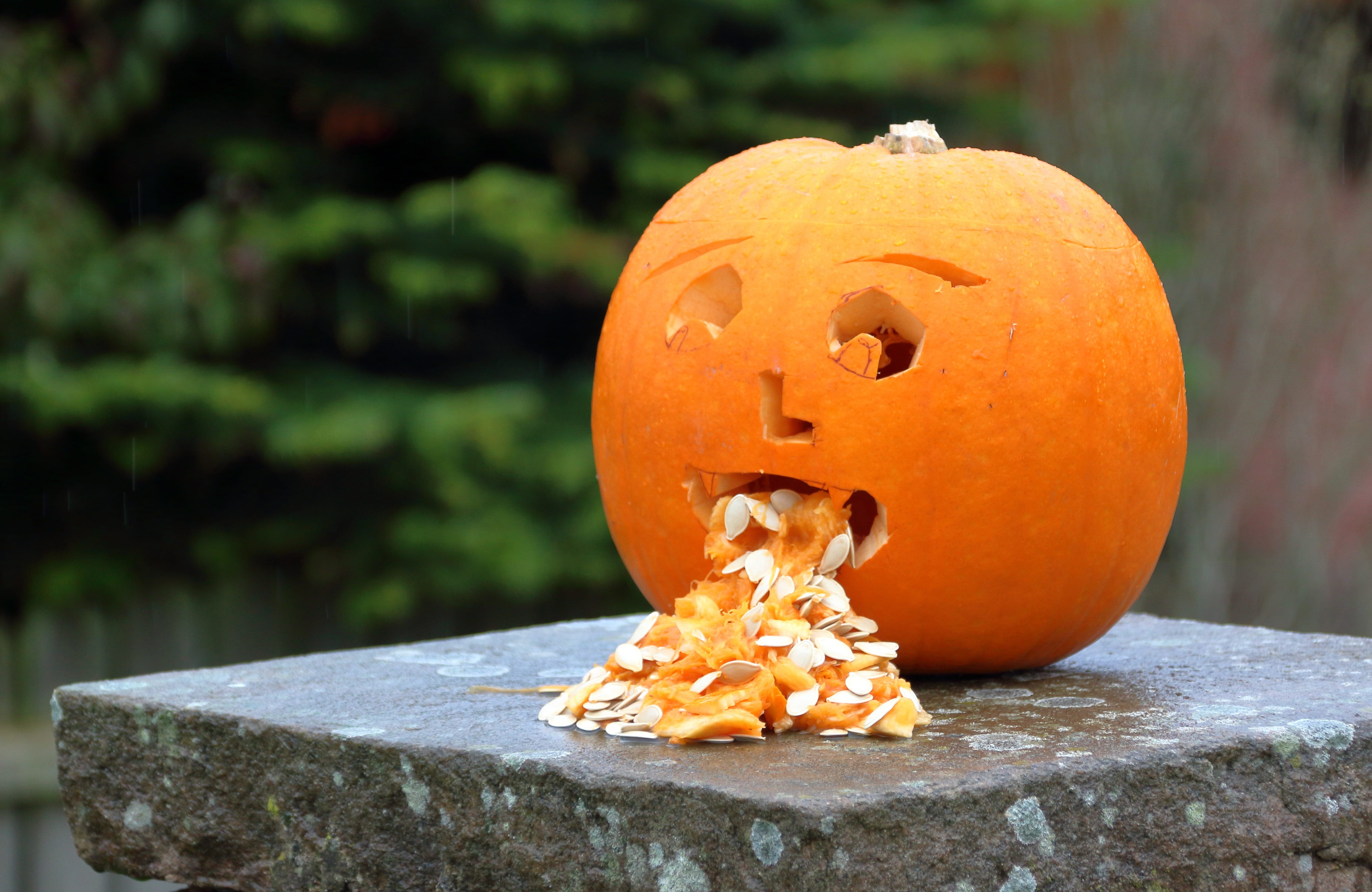 nausea, halloween, no people, puke, anthropomorphic face, face, october, nature, bad, creepy, carving - craft product, food, celebration, food and drink, HD Wallpaper