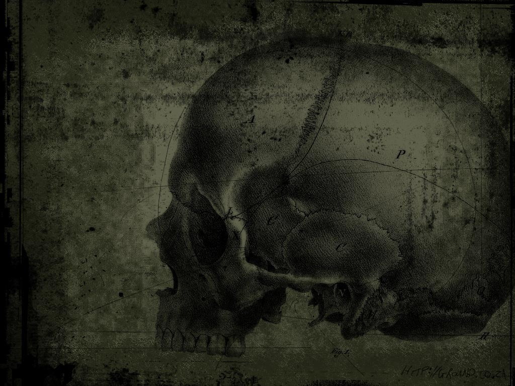 artwork, textured effect, 480P, wall - building feature, healthcare and medicine, backgrounds, close-up, damaged, abstract, stained, skull, old, grunge, HD Wallpaper
