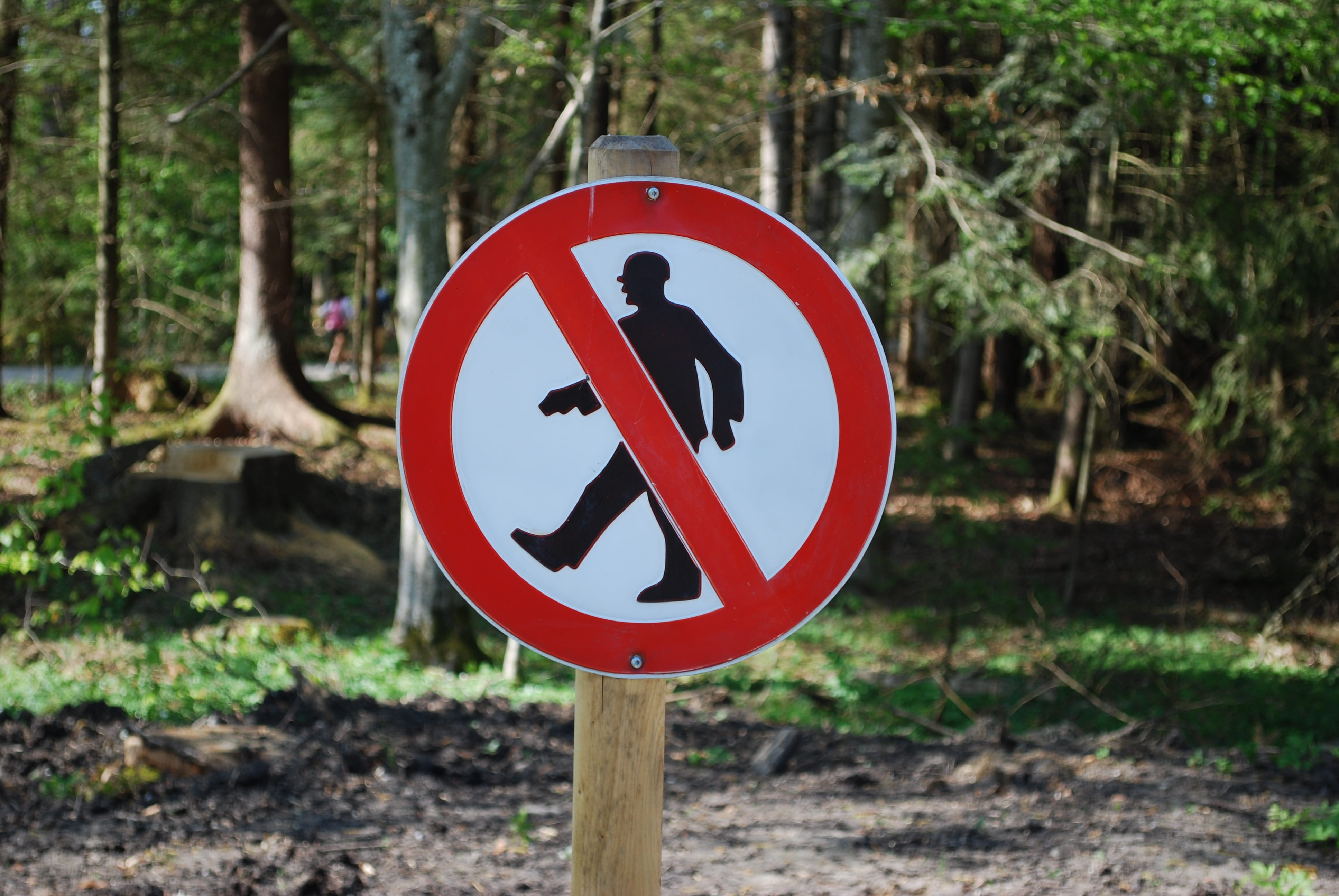 environment, outdoors, tree, human representation, plant, field, warning sign, wooden post, red, ban, communication, risk, shape, representation, information sign, HD Wallpaper