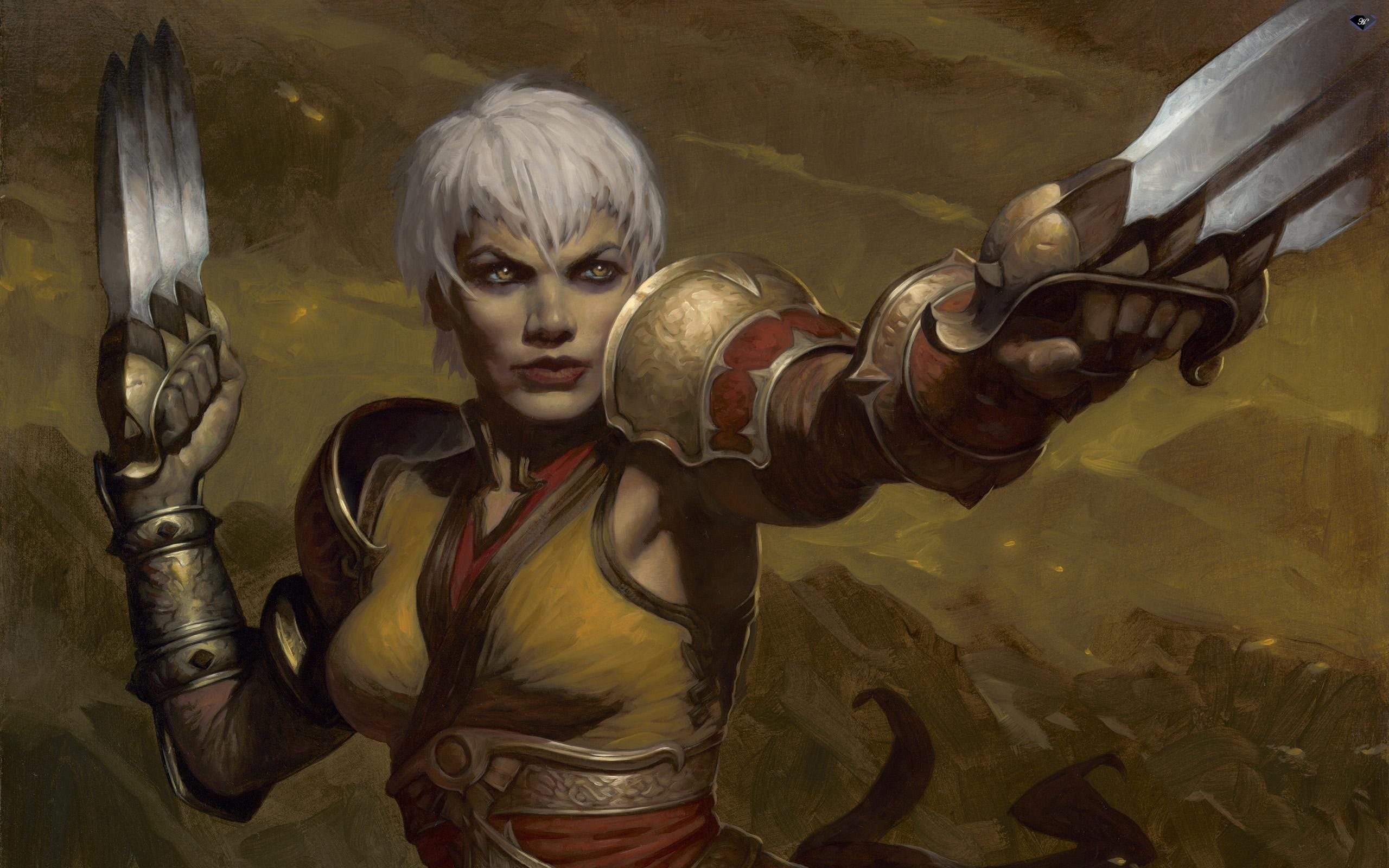 diablo, diablo 3, games, lord of destruction, game, warrior, blizzard, 2K, HD Wallpaper