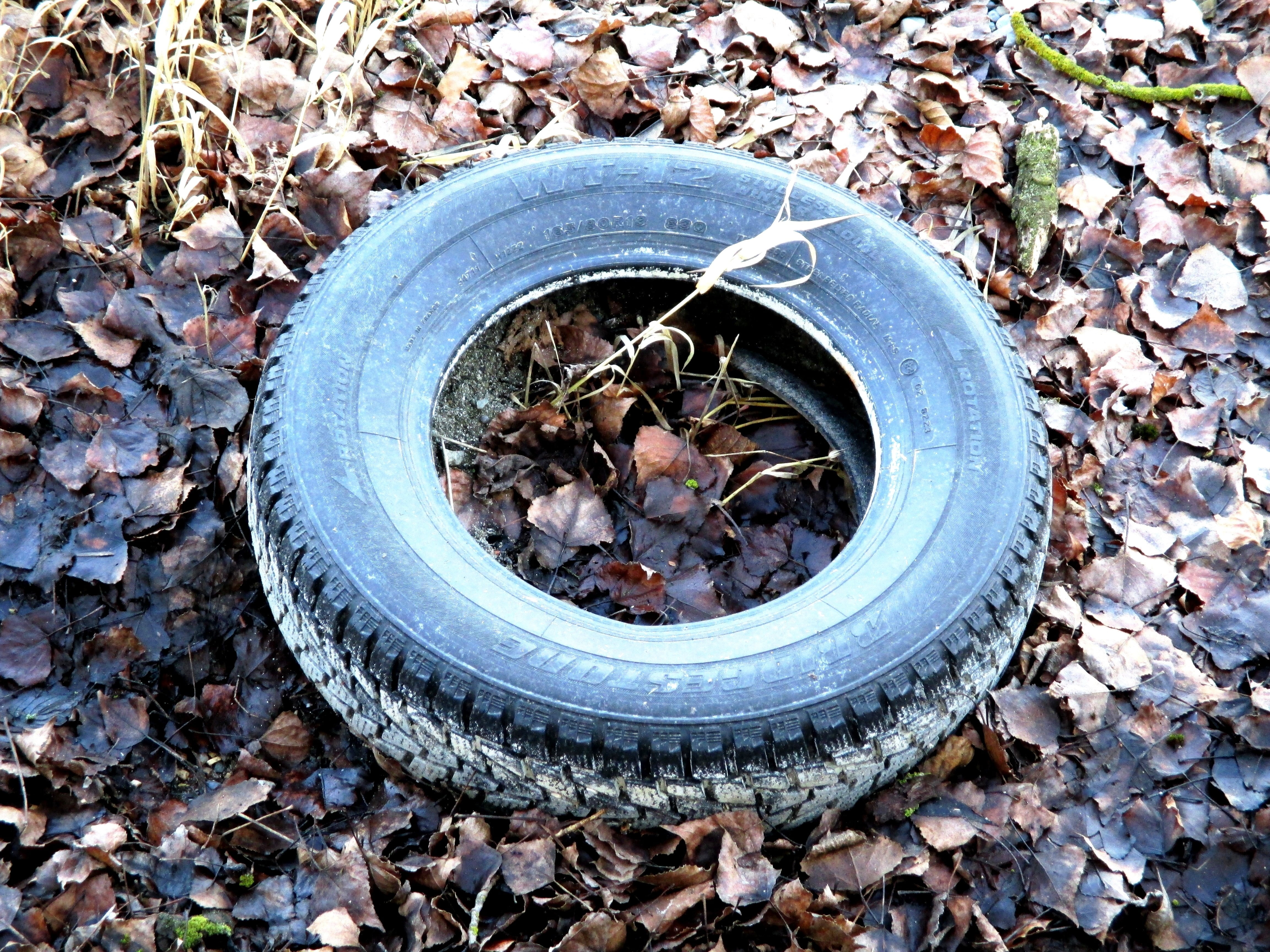 directly above, no people, profile, circle, leaves, tire, 4K, leaf, shape, pollution, change, rubber, wheel, auto tires, environmental issues, day, disposed of, HD Wallpaper