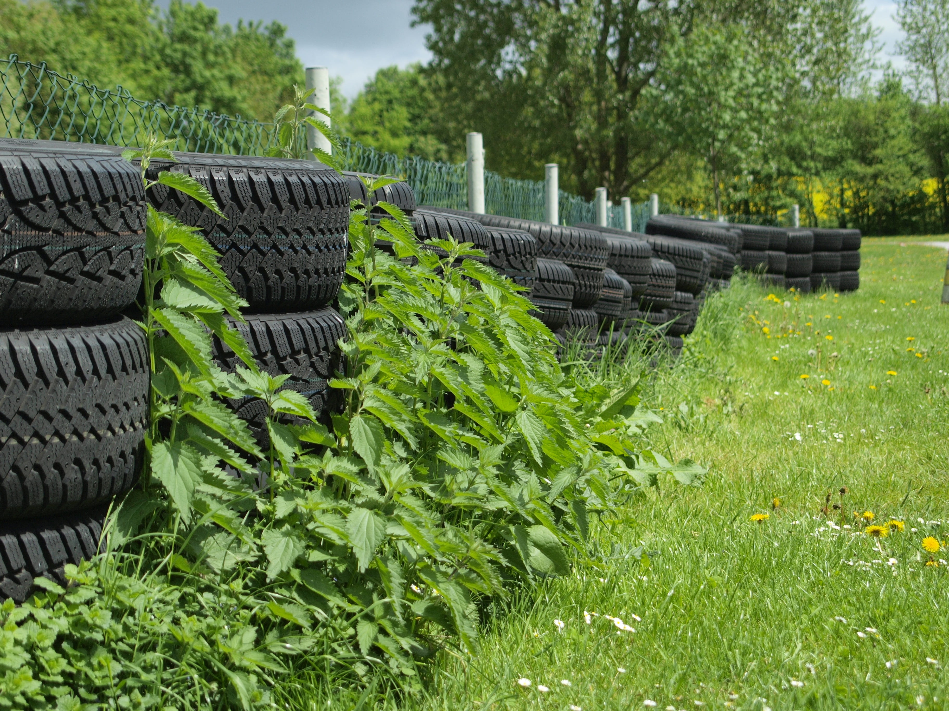 auto tires, field, nature, garbage, traffic, thrown away, pkw, auto, beauty in nature, environment, grass, day, sunlight, mature, green, seat, land, tranquility, HD Wallpaper