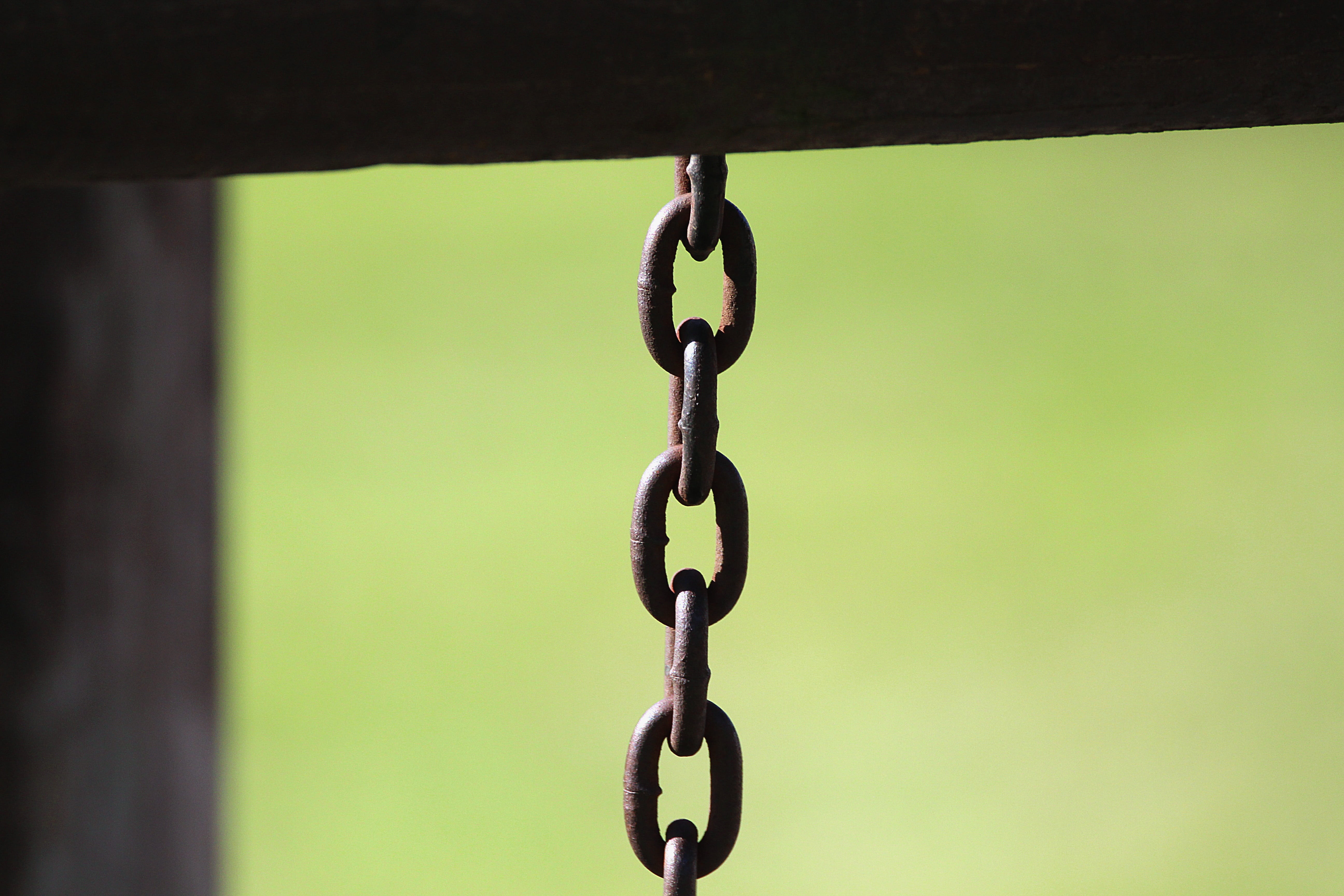 day, 5K, studio shot, strength, protection, pattern, Chain, focus on foreground, jewelry, Playground, leave, green color, close-up, security, metal, nature, HD Wallpaper