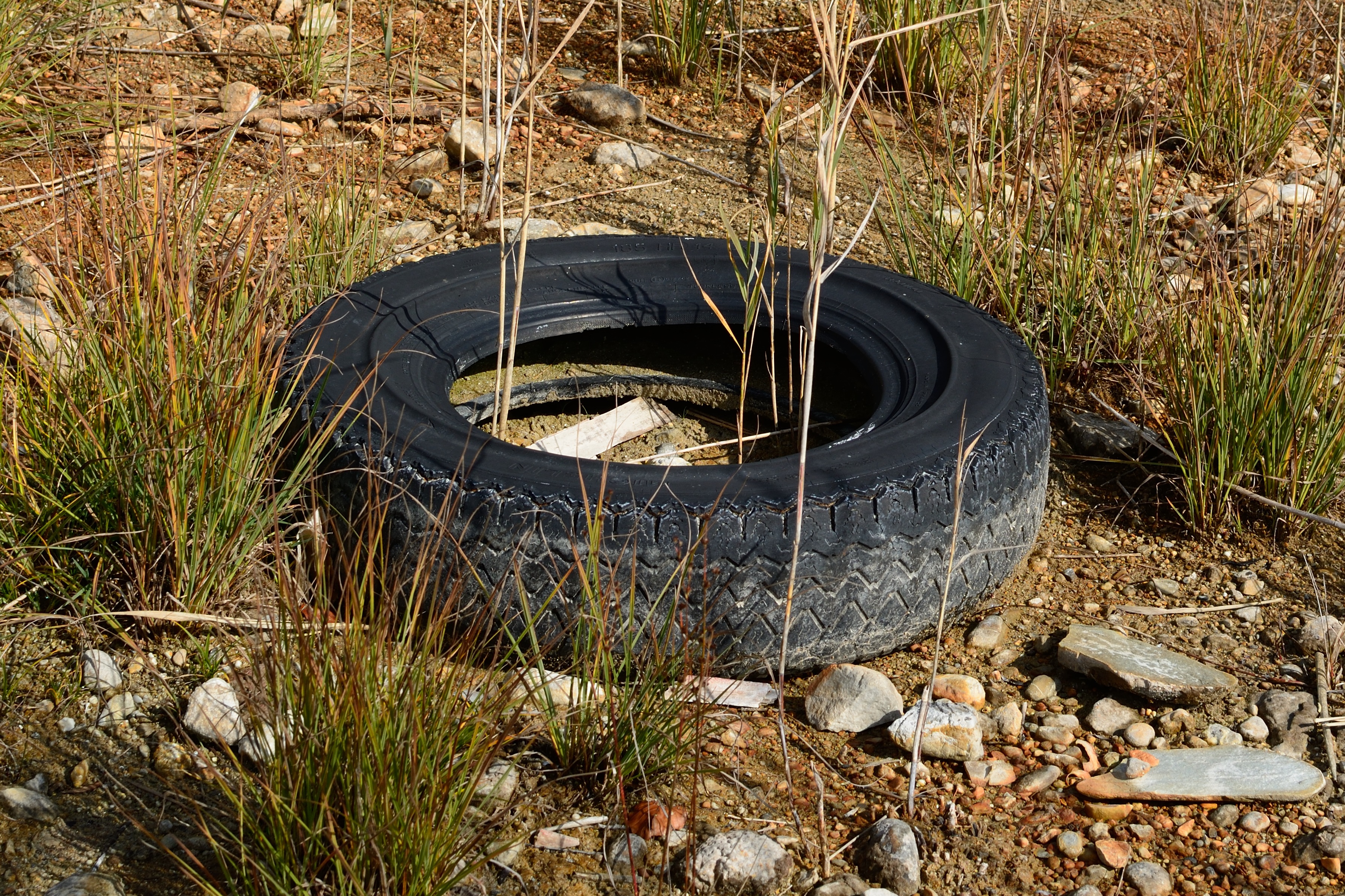 obsolete, auto, tire, dirt, rock, plant, decline, nature, recycling, vehicle, solid, 2K, wheel, pollution, outdoors, day, auto tires, no people, grass, HD Wallpaper
