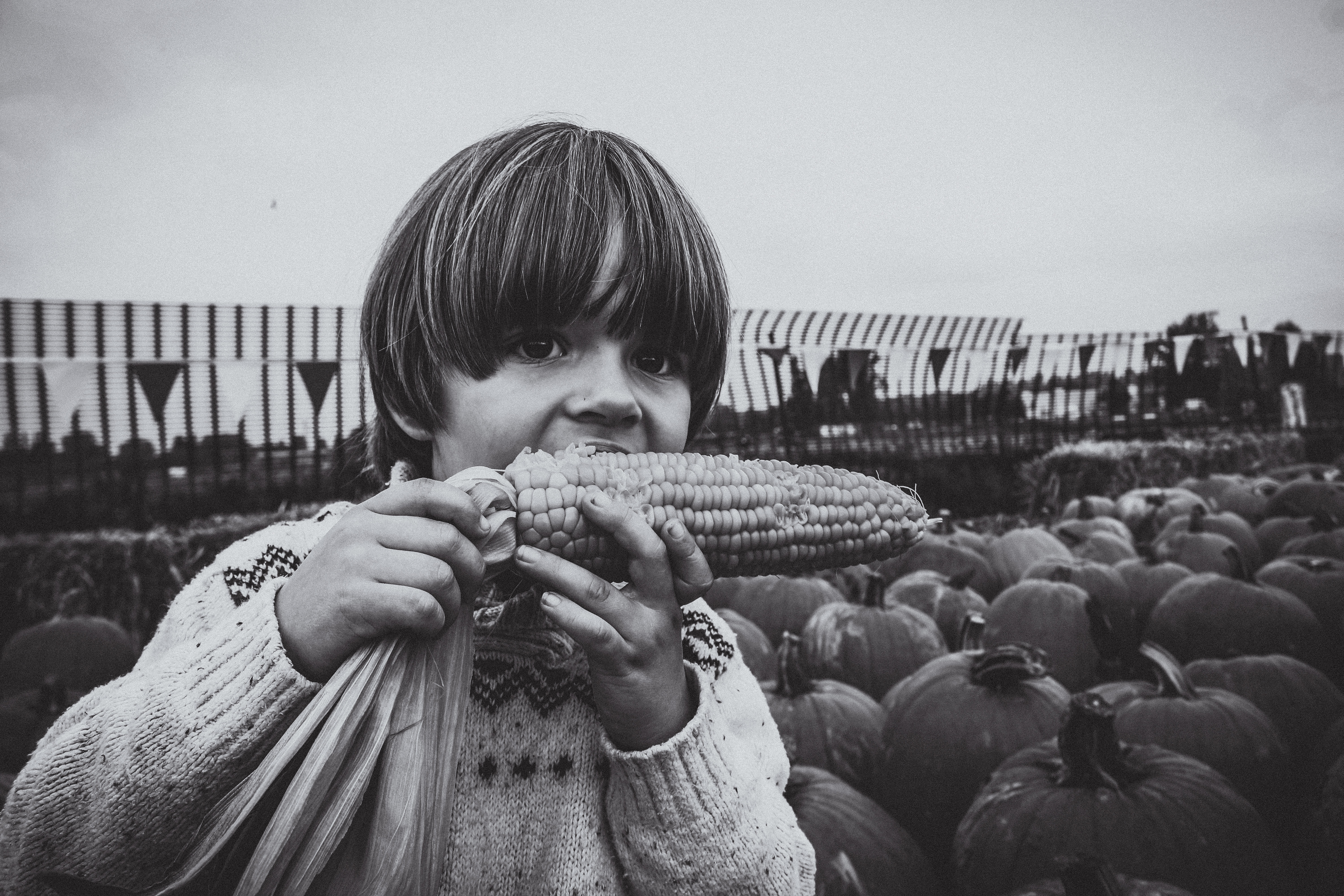 boys, real people, front view, corn, headshot, sky, autumn, little, looking at camera, boy, males, grayscale, holding, childhood, day, baby boy, innocence, HD Wallpaper