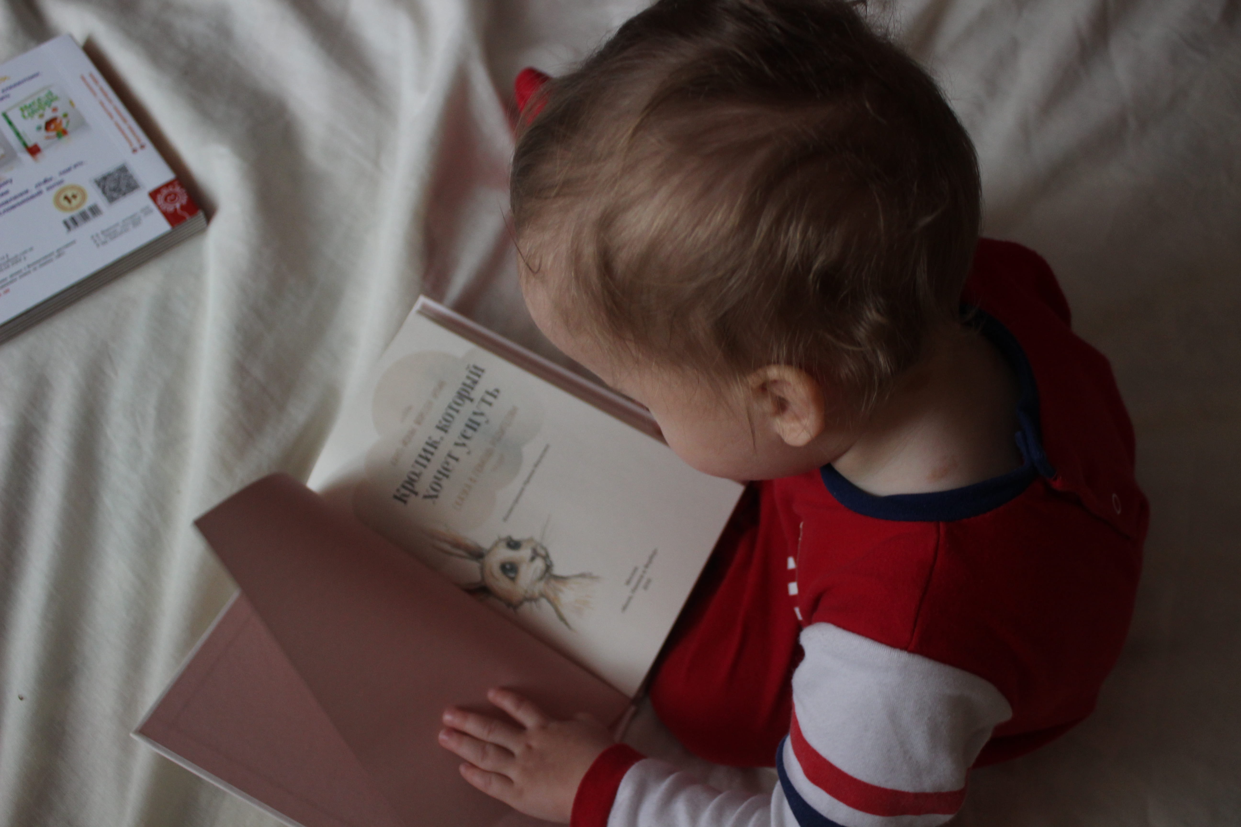 toddler, innocence, education, one person, young, reading, bed, indoors, babyhood, paper, males, child, male, childhood, real people, holding, sitting, HD Wallpaper