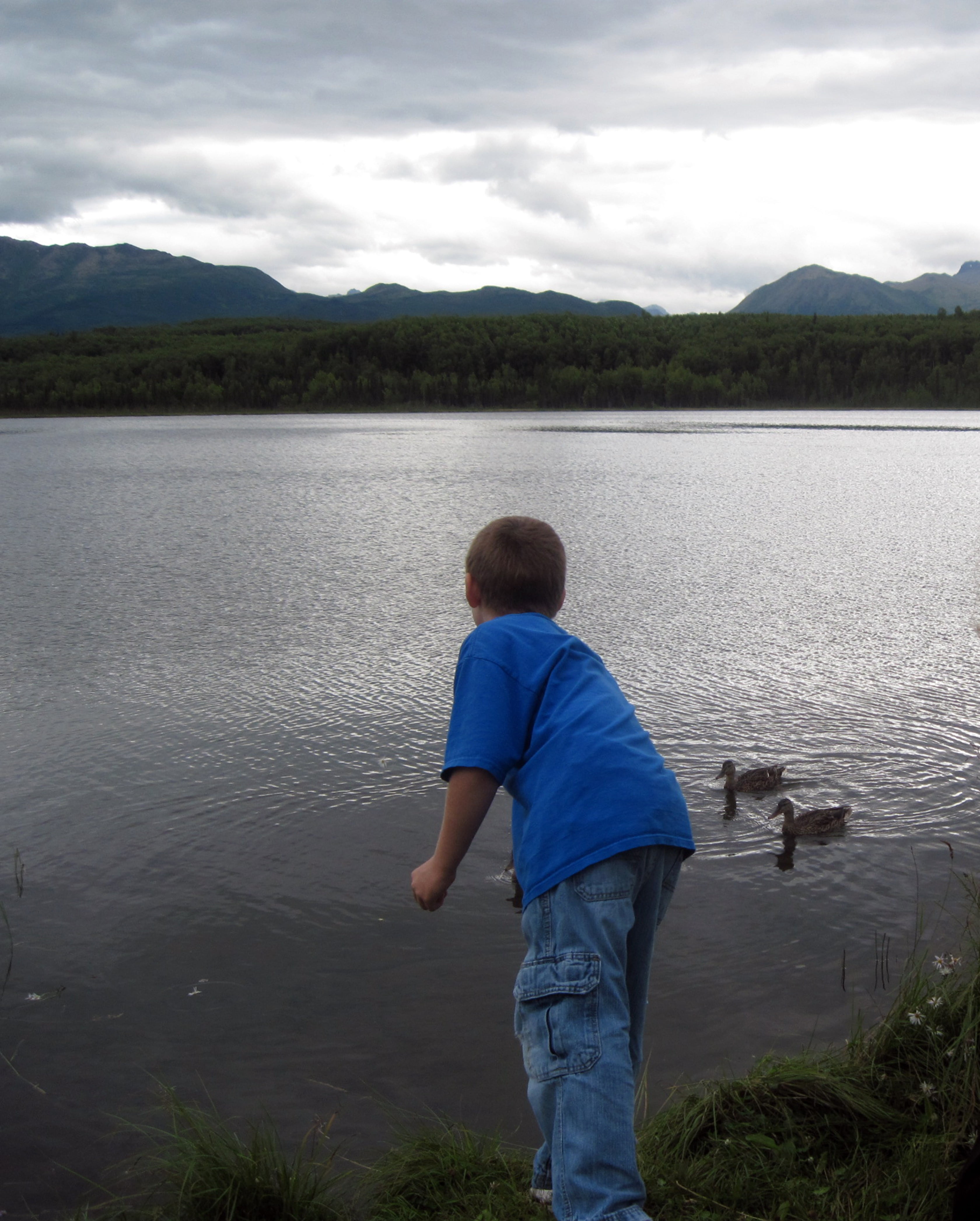 one Person, water, child, real people, boys, beauty in nature, sky, bird, outdoors, two, feeding, boy, men, daytime, cloud - sky, lake, leisure activity, Phone HD Wallpaper