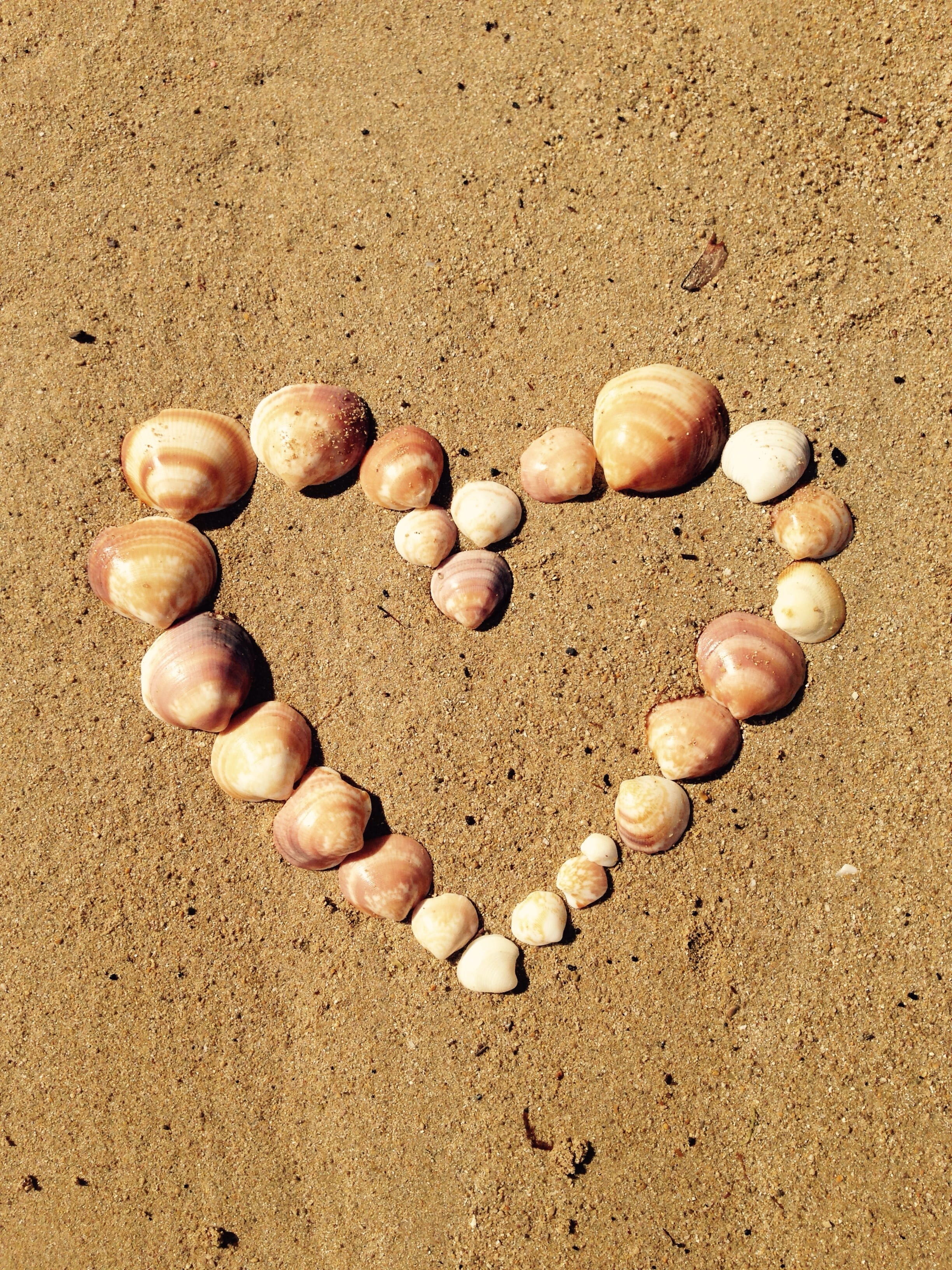 creativity, map, lot, high angle view, wedding, assorted, background, ibiza, sea, pebble, postcard, valentines day, directly above, brown, heart, yellow, Phone HD Wallpaper