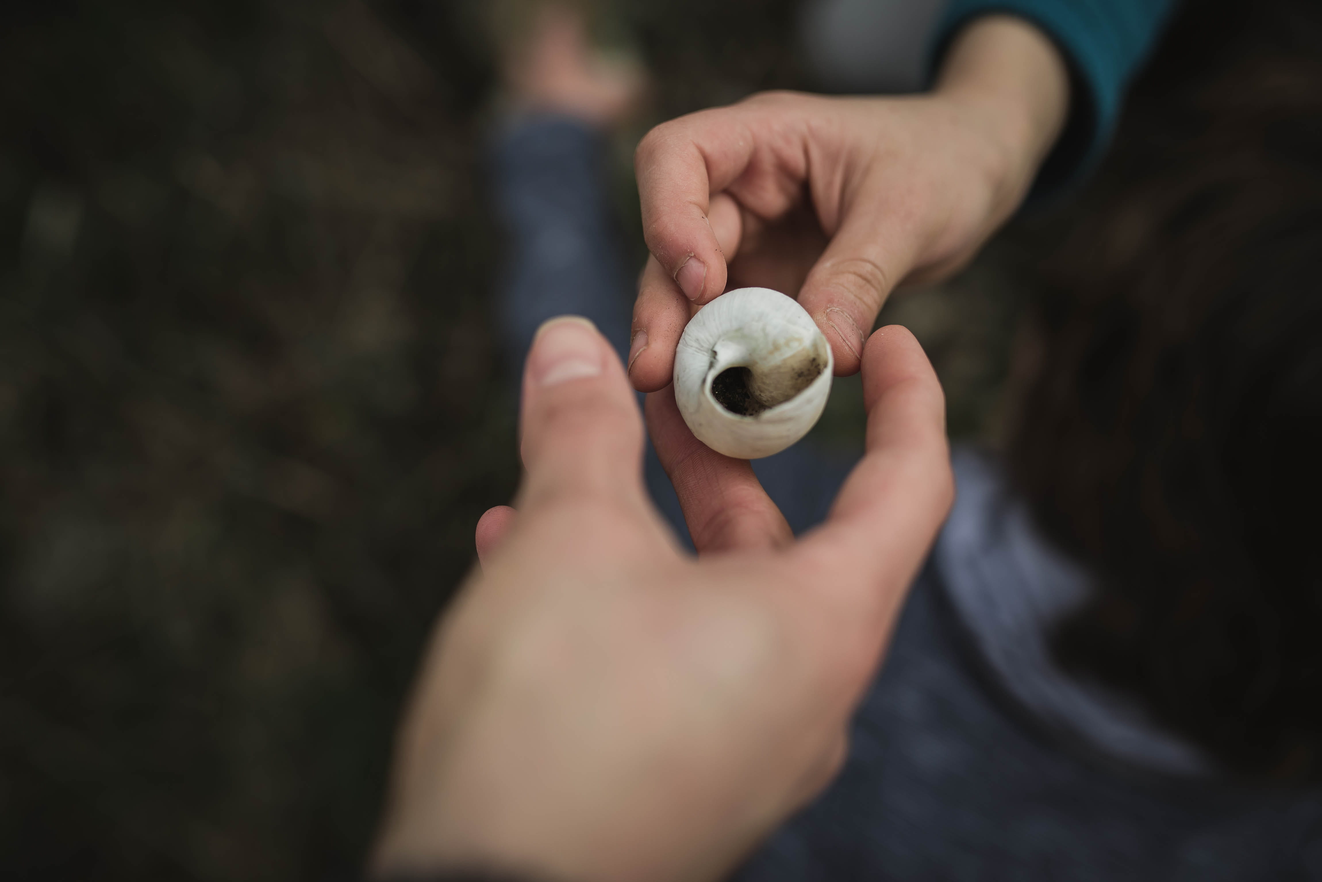human body part, adult, macro, leisure activity, spring nature, preparation, outdoors, human, glass, vehicle, body part, momandkid, money, shell, flight, HD Wallpaper