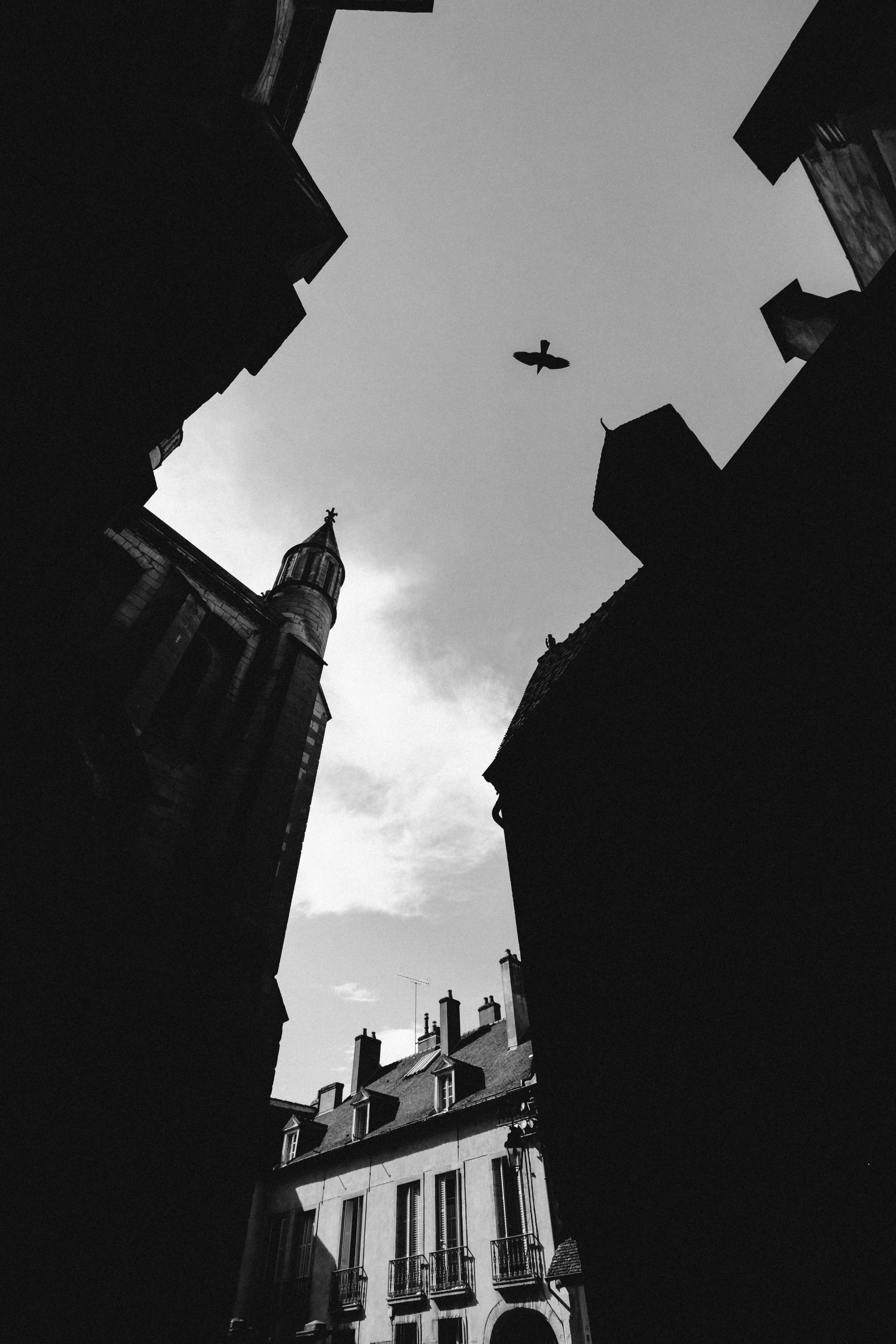 aircraft, skies, building exterior, town, bird, day, flying, metropolis, bell tower, house, grayscale, control tower, dome, transportation, photography, Phone HD Wallpaper
