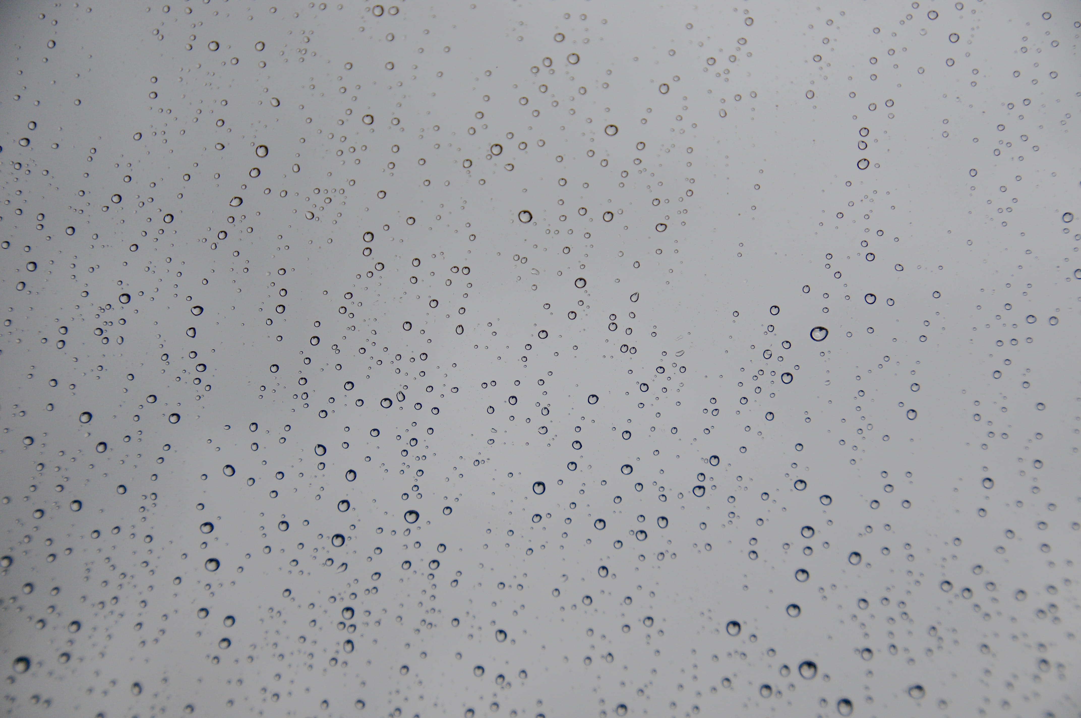tar, sky, water, 4K, texture, rain, wet, window, flock of birds, glass - material, nature, rainy season, ground, white, drop, transparent, full frame, HD Wallpaper