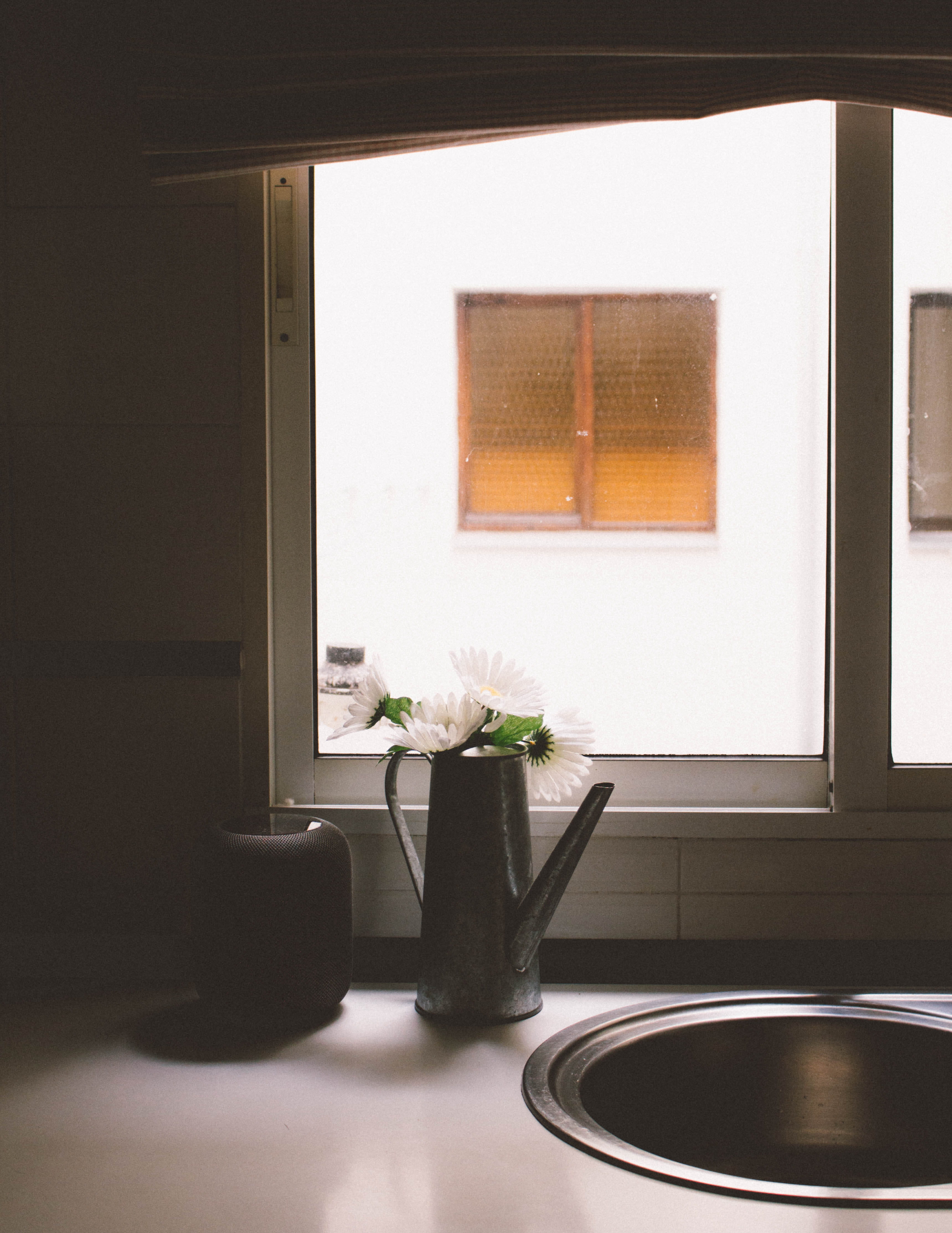 plant, Music, home, saucer, mirror, HomePod, sliding door, decoration, domestic room, flooring, vase, can, no people, cup, window sill, coffee cup, day, Phone HD Wallpaper
