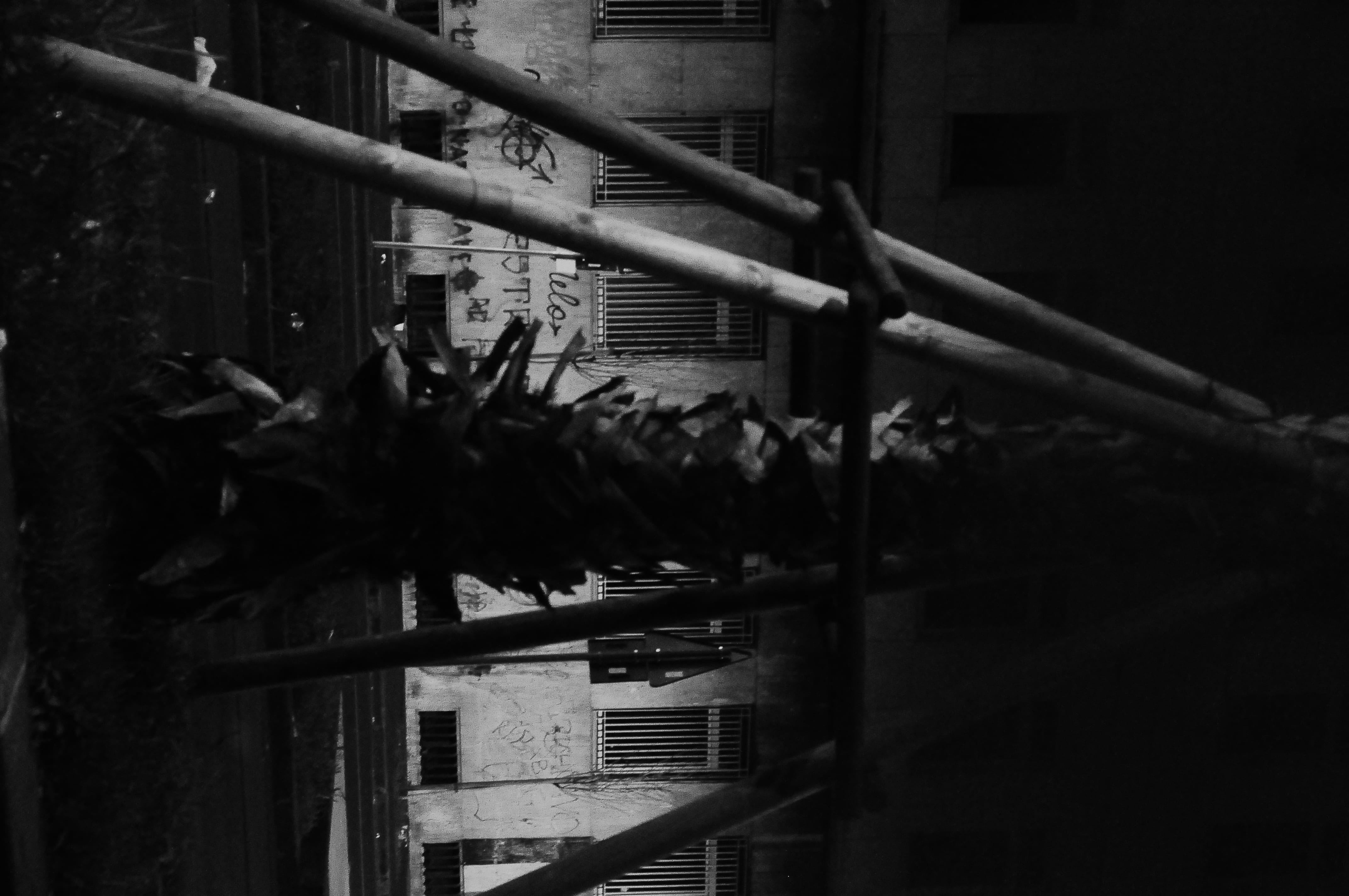 railing, leaf, built structure, building, no people, wood - material, building exterior, play area, growth, triangle, agriculture, crypt, food and drink, HD Wallpaper