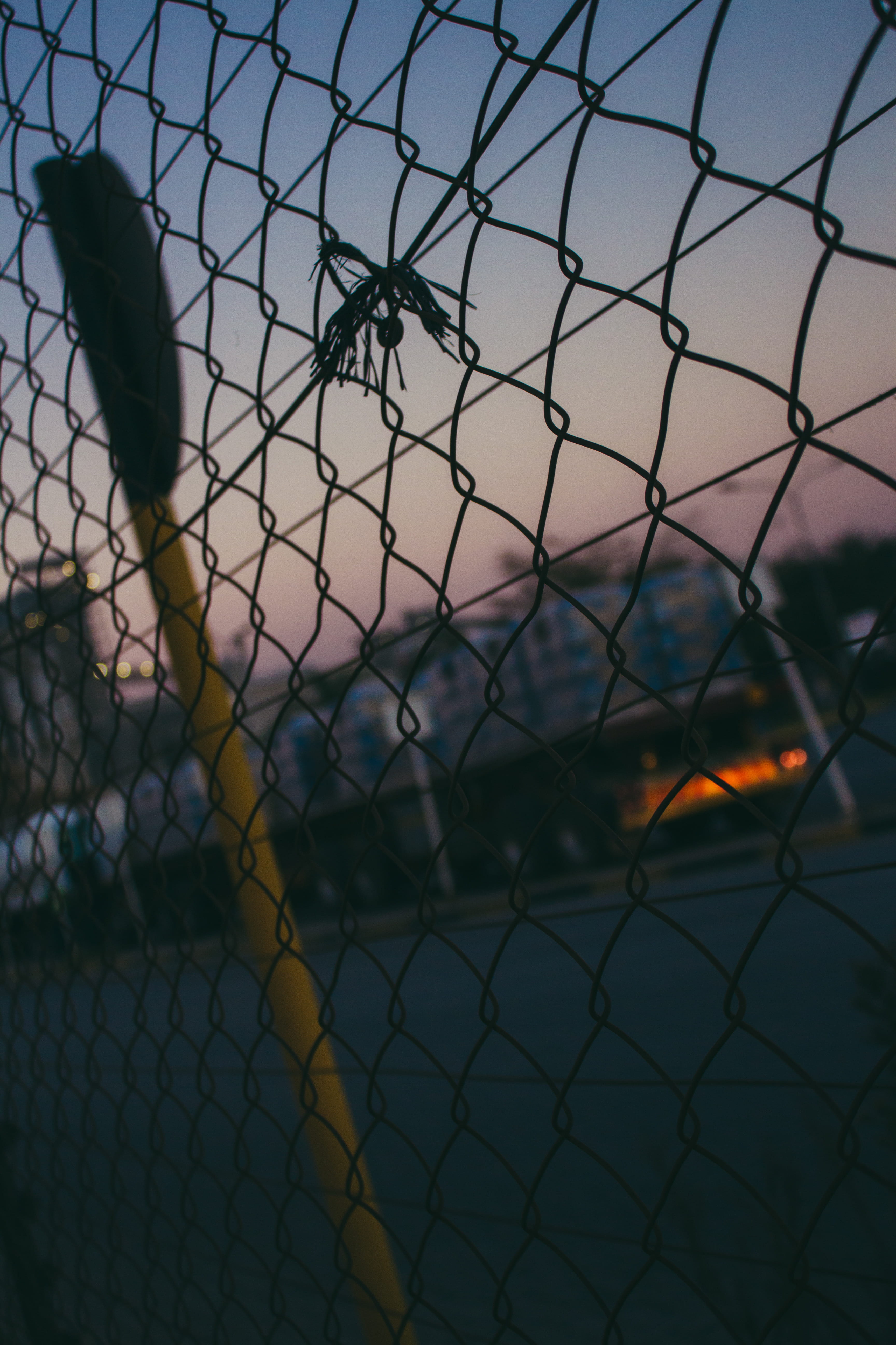 focus on foreground, no people, combination lock, play, barbed wire, bird, pattern, selective focus, throat, nature, 5K, wire, prison, metal, animal, grille, Phone HD Wallpaper