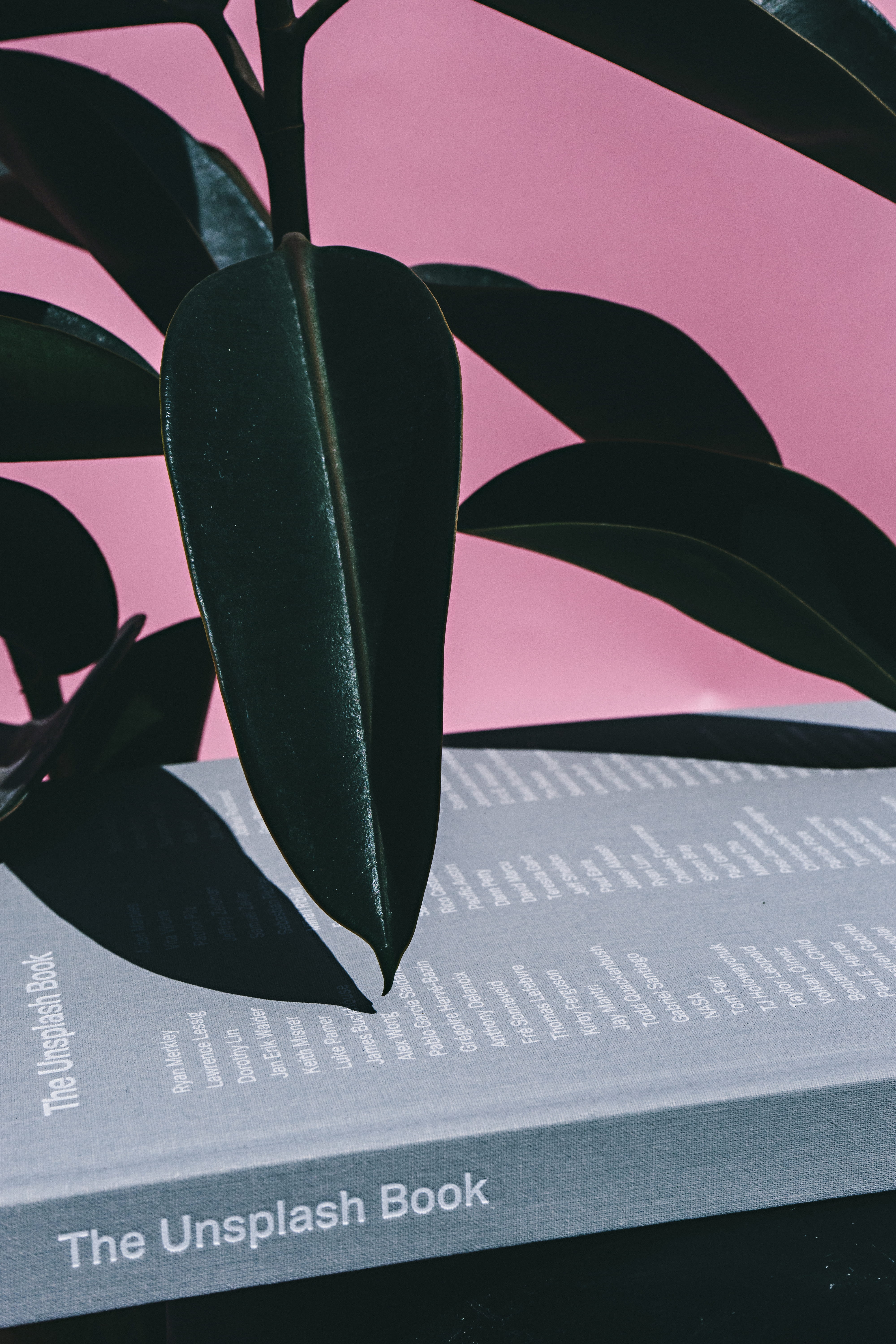 5K, unsplash book, indoors, interior, araceae, nature, plectrum, still life, leaf, hardcover book, poster, focus on foreground, close-up, communication, Phone HD Wallpaper