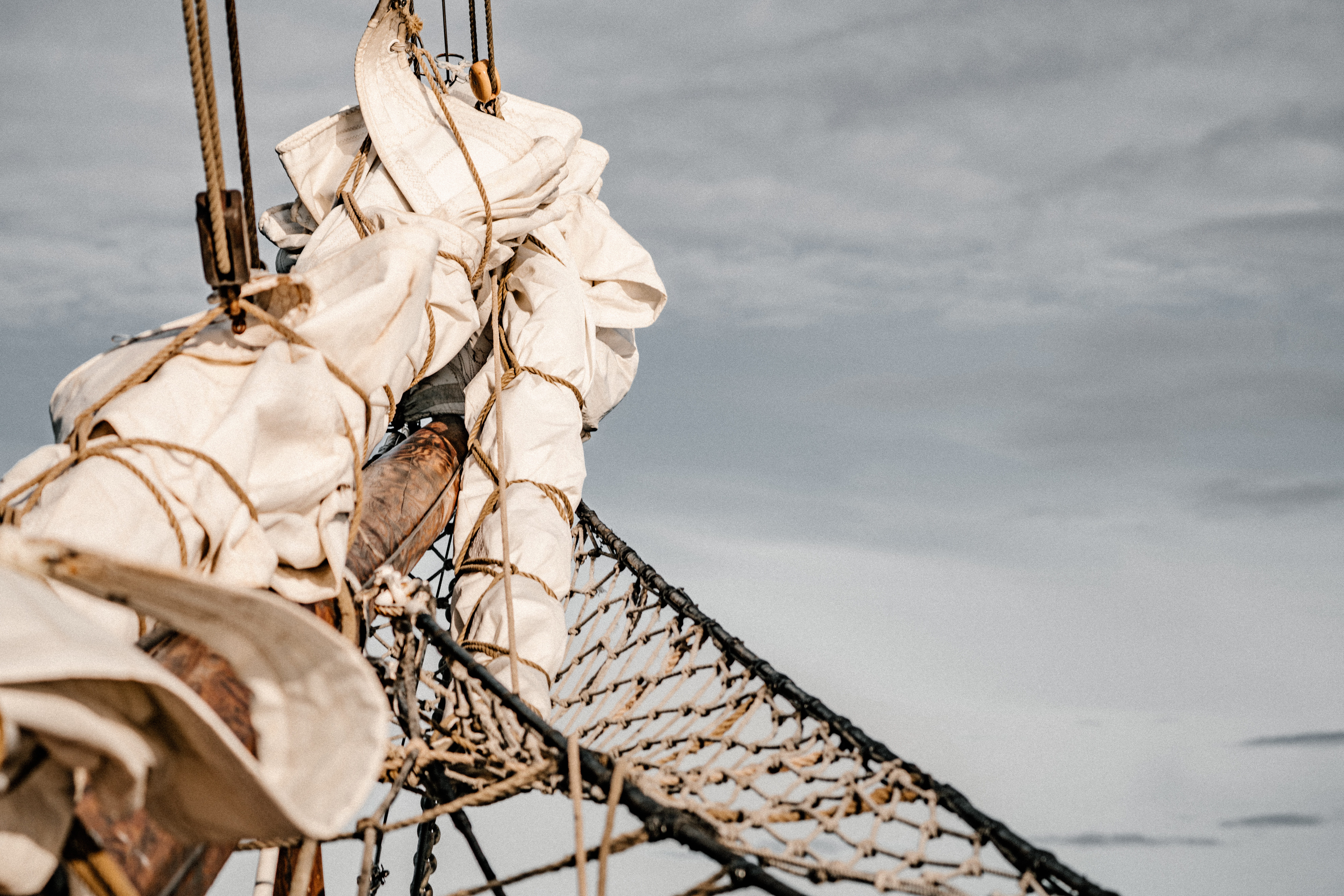 suspension bridge, day, outdoors, low angle view, no people, water tower, astronaut, 8K, hanging, sailor suit, apparel, hawk, textile, bird, hat, animal, HD Wallpaper