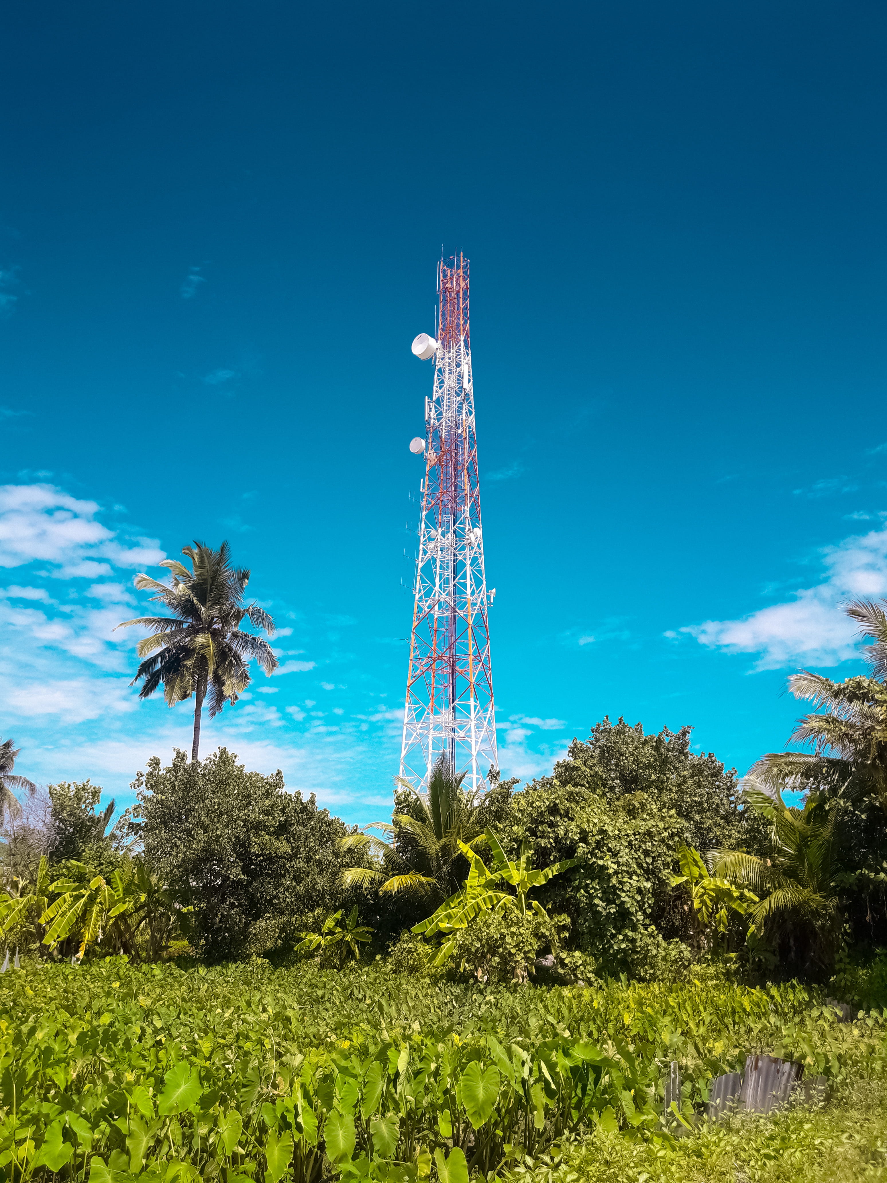 blue, land, maldives, growth, tower, tree, cloud - sky, technology, low angle view, hithadhoo, communication, outdoors, day, tall - high, beauty in nature, Phone HD Wallpaper