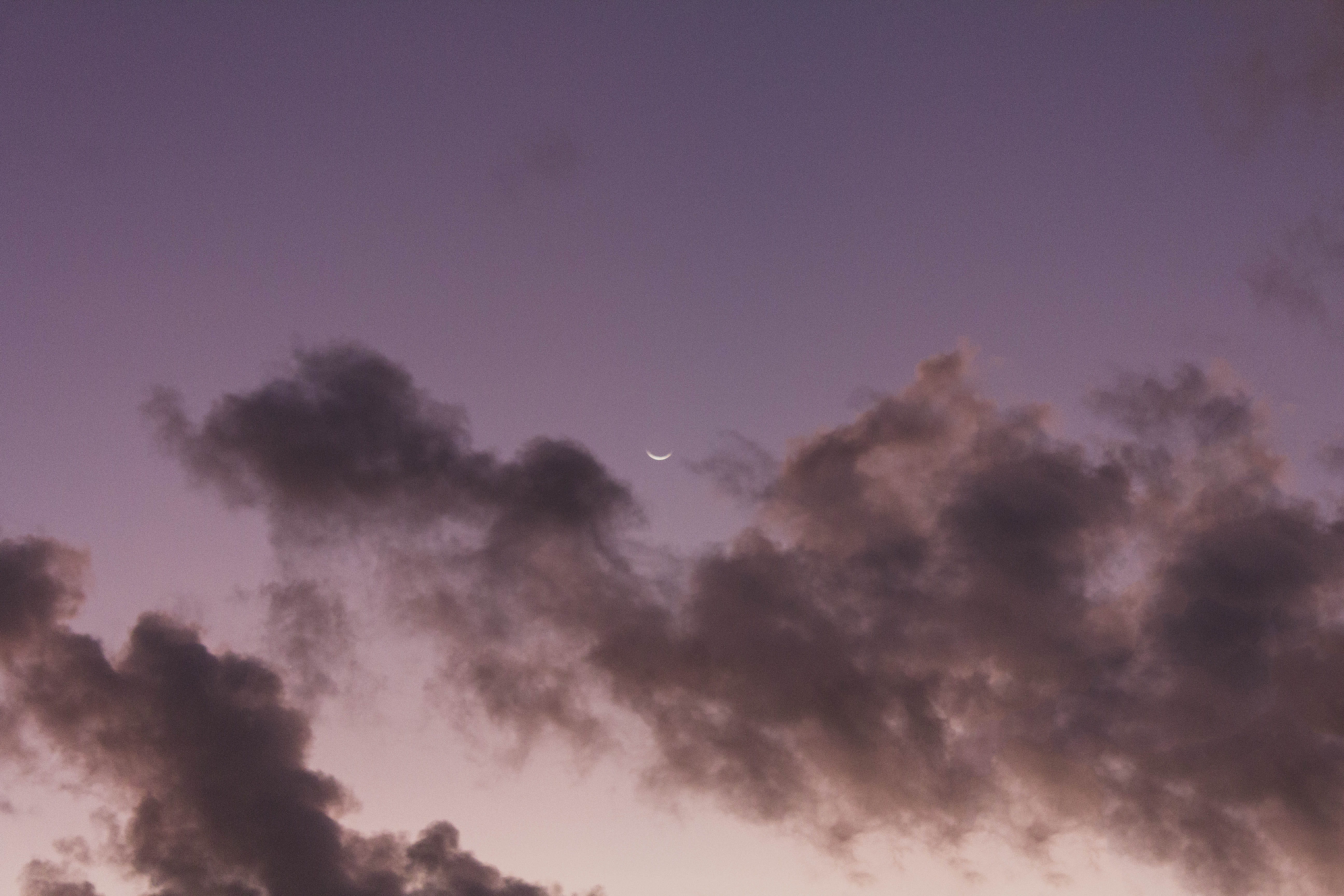 5K, maldives, low angle view, scenics - nature, space, nature, tree, tranquil scene, cloud - sky, backgrounds, sky, addu city, dusk, no people, purple, HD Wallpaper