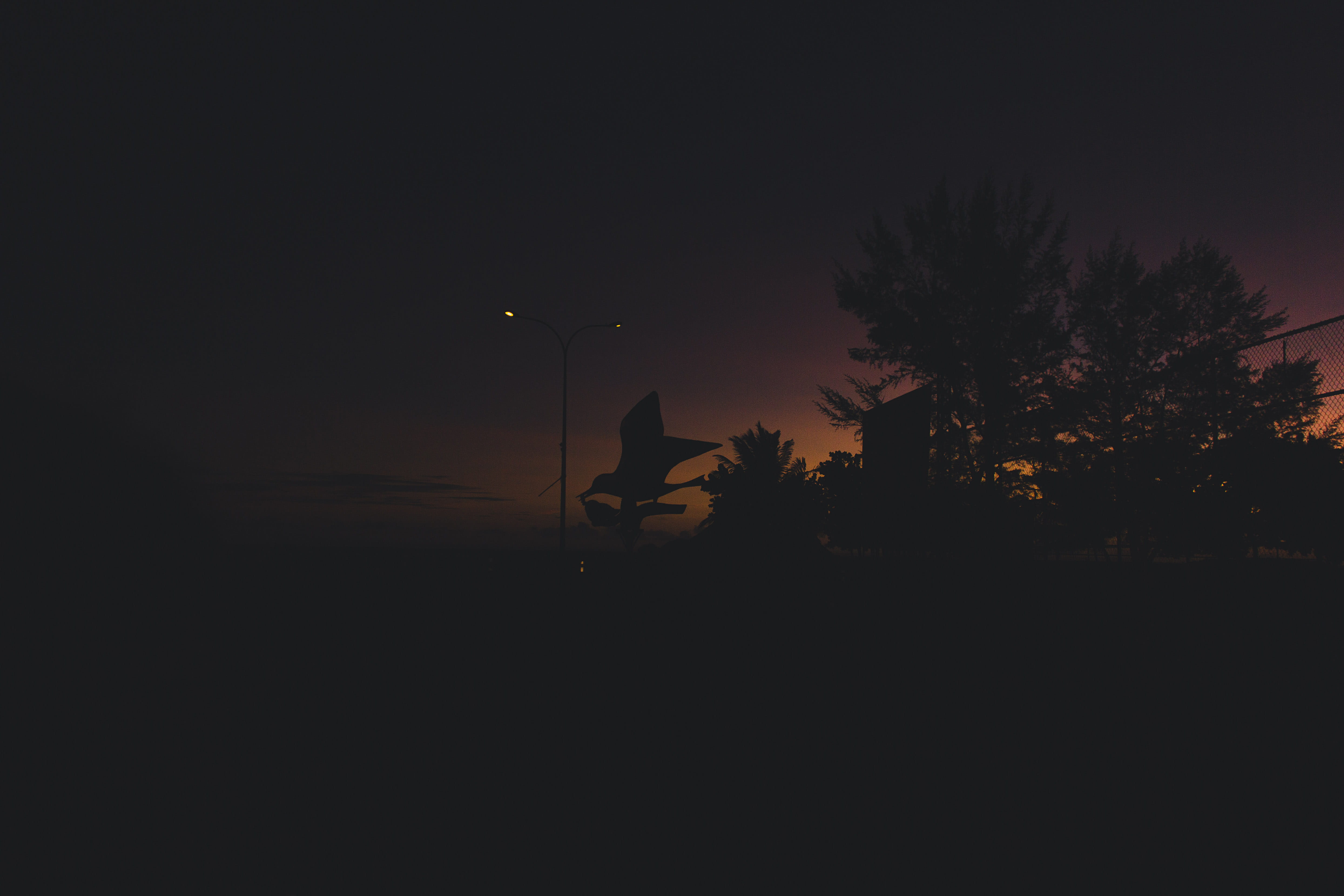 feydhoo, beauty in nature, sunset, idyllic, outdoors, architecture, darkness, sky, dark, tree, night, tranquil scene, tranquility, addu city, built structure, HD Wallpaper