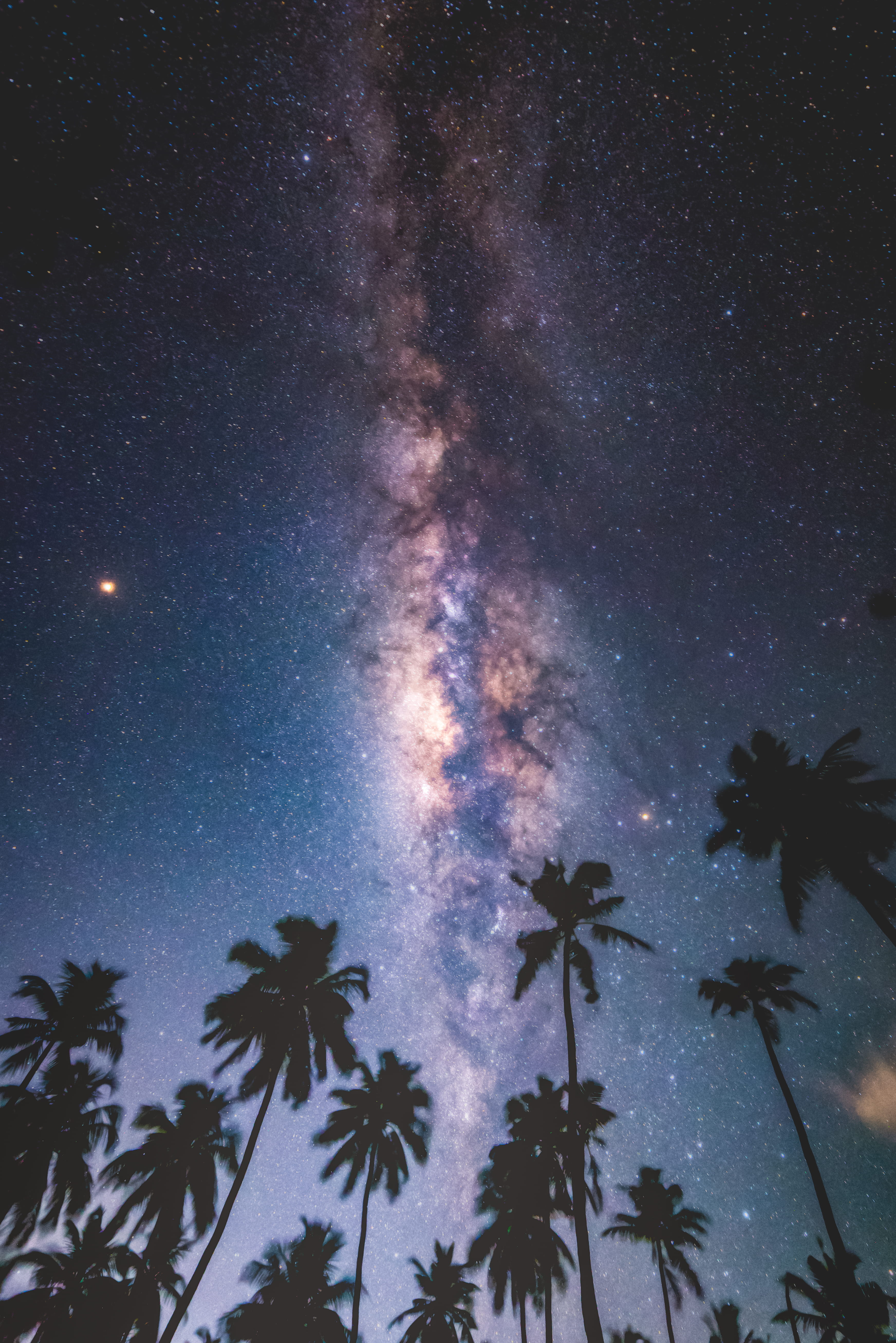 night, light, universe, outdoors, insect, maldives, flare, addu city, tropical climate, plant, outer space, arecaceae, nighttime, silhouette, coconut, cloud - sky, Phone HD Wallpaper