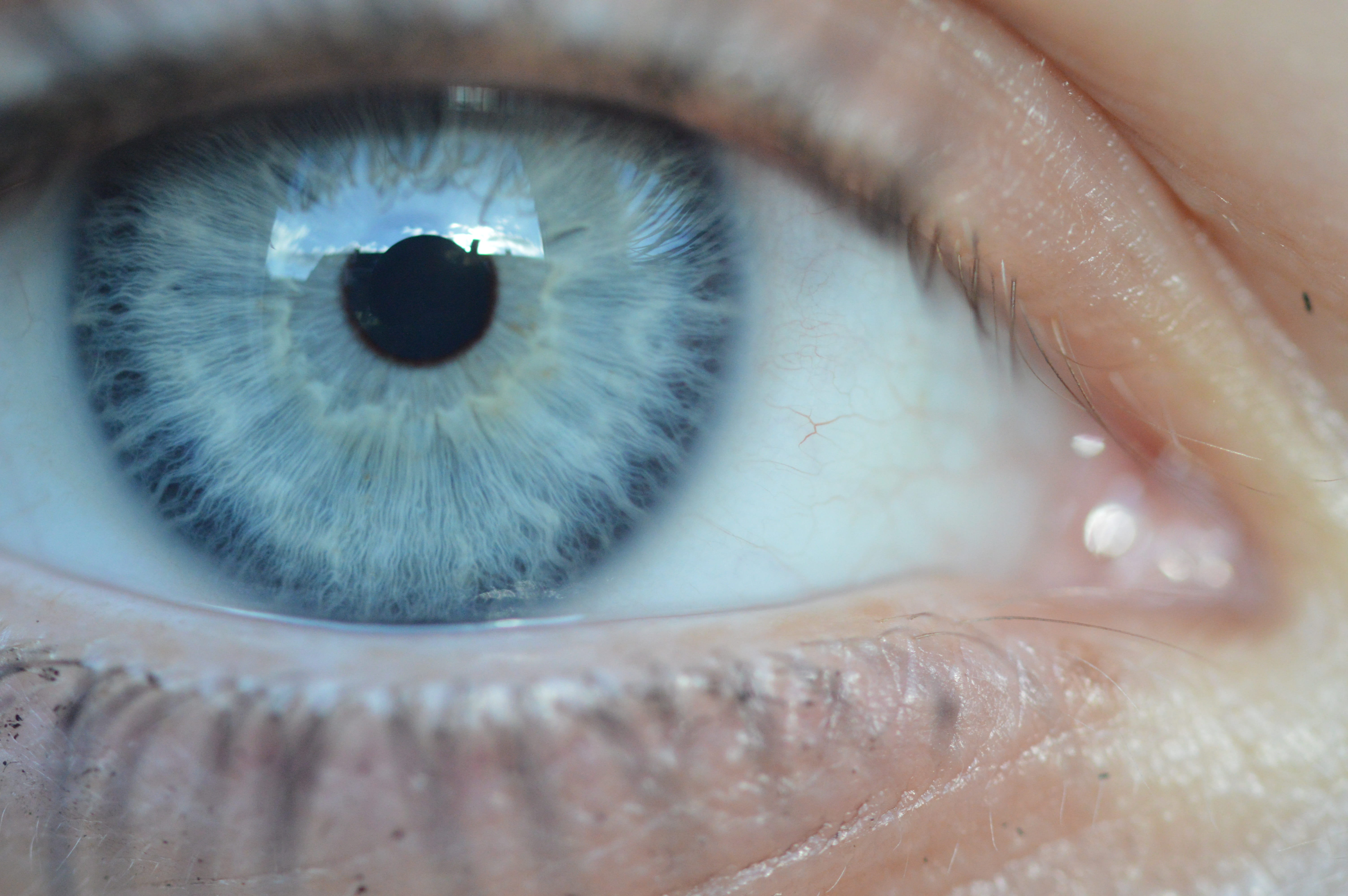 iris - eye, eyelashes, black, body part, unrecognizable person, eyeball, color transition, human eye, macro, macro lens, human body part, pupil, adult, HD Wallpaper