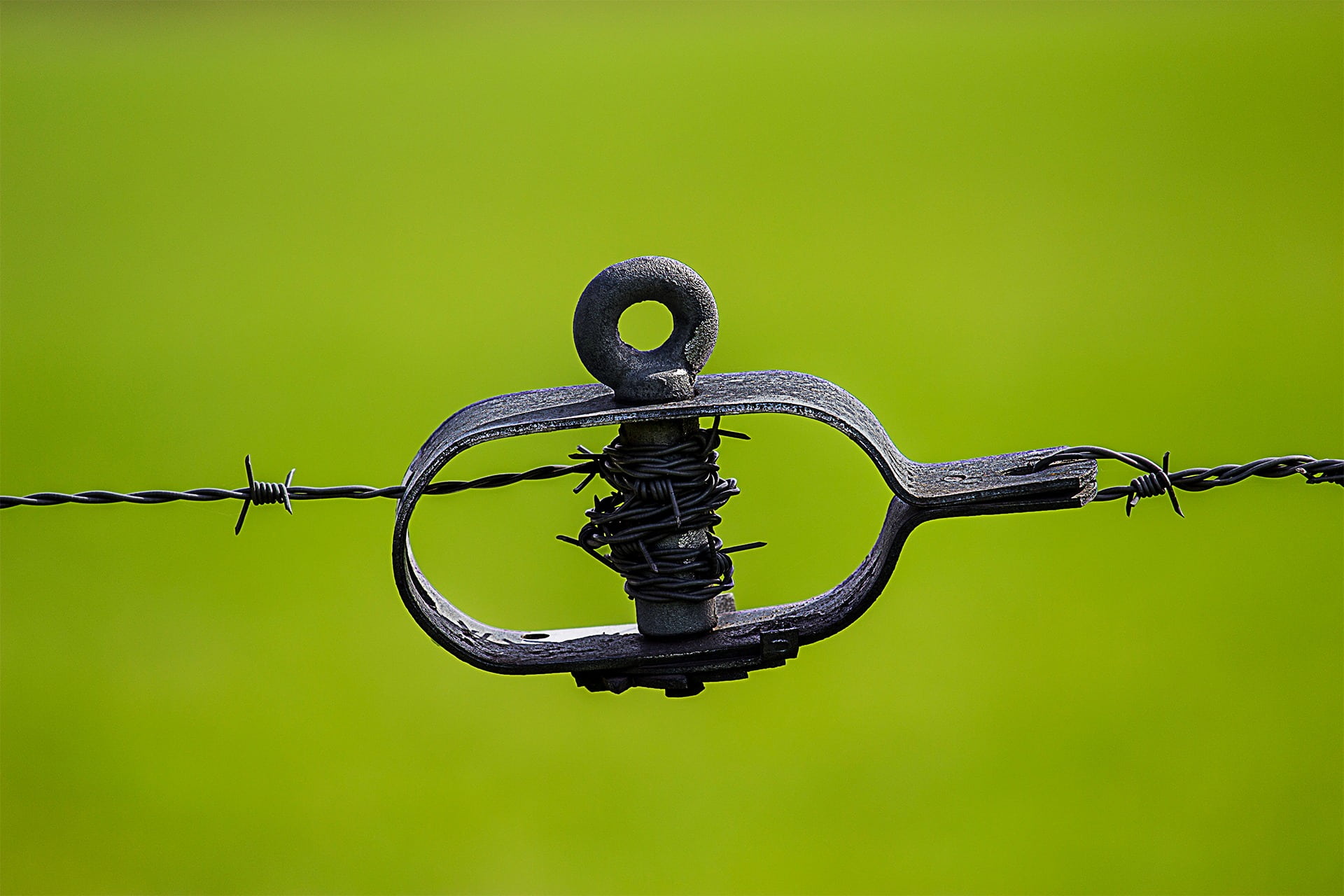tiefenschärfe, photo, tool, 1080P, close-up, nature, wiring, focus, wire, steel, green color, close, focus on foreground, safety, security, green, no people, HD Wallpaper