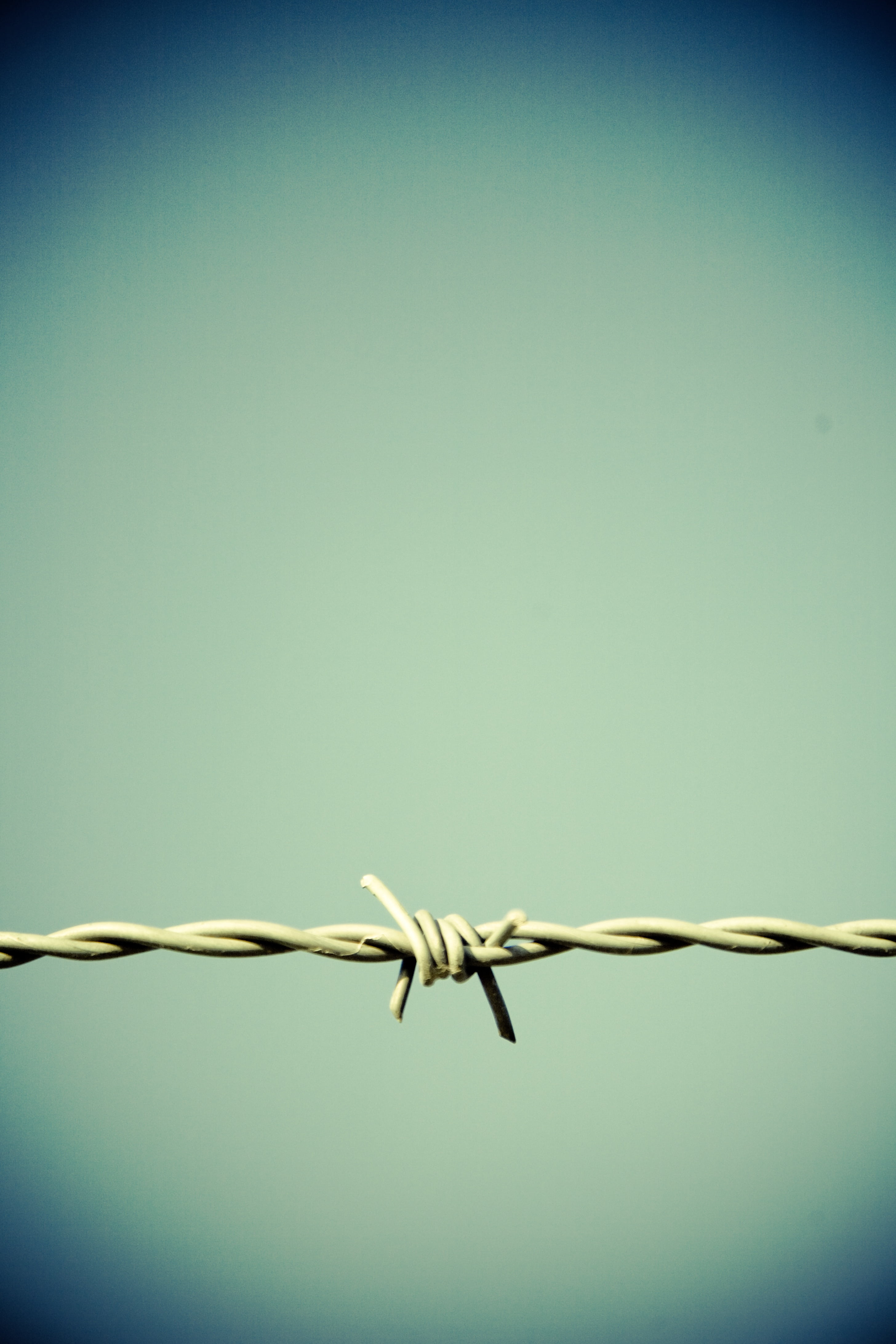 limit, caution, close-up, connection, barbwire, prison, barrier, thorn, security, protection, boundary, no people, risk, tiefenschärfe, 4K, metal, close, Phone HD Wallpaper
