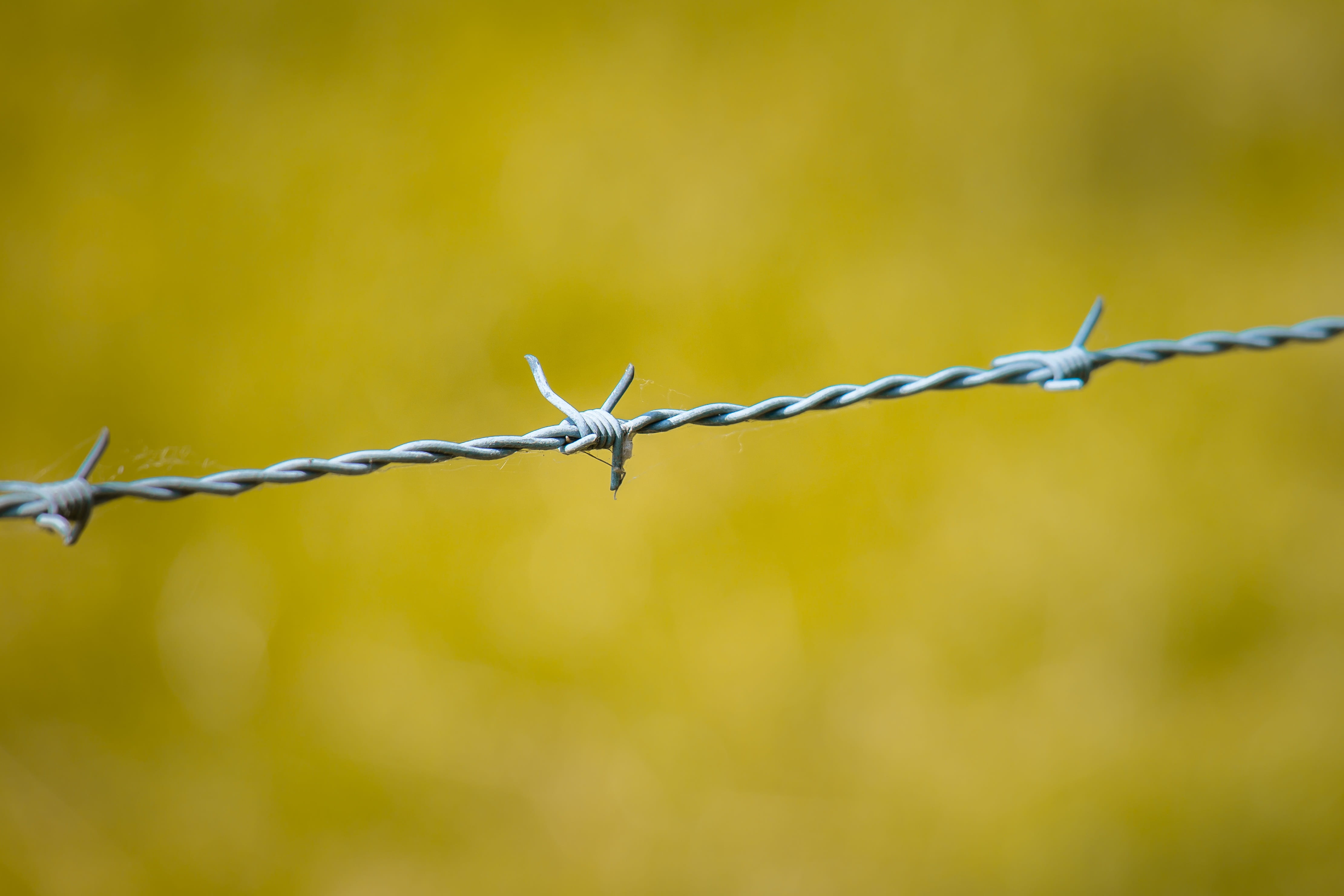 demarcation, boundary, outdoors, twisted, wire, exclusion, sign, forbidden, focus on foreground, day, sharp, nature, barbed wire, metal, no people, warning sign, HD Wallpaper
