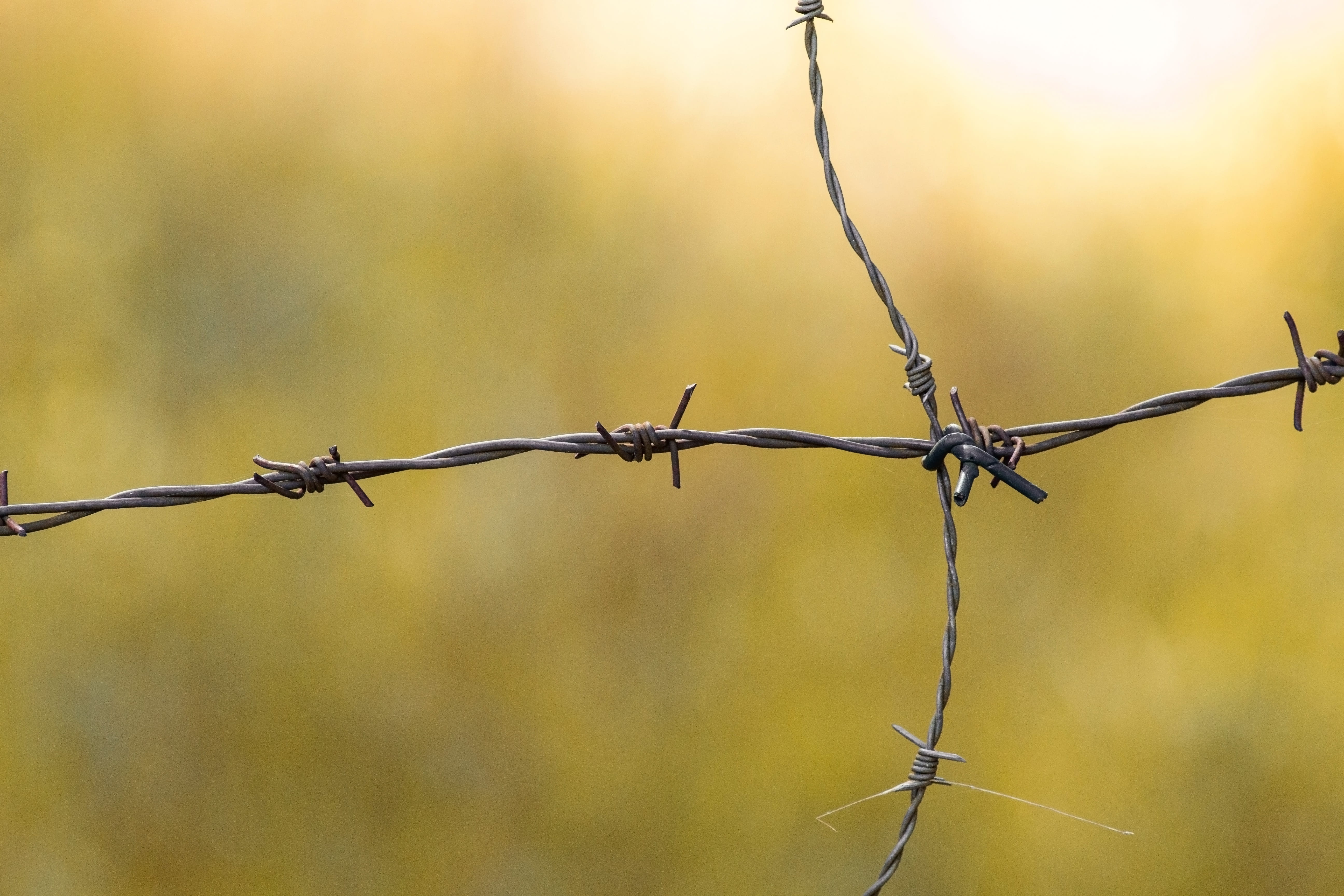 border, background, boundary, focus on foreground, close, security, fence, rusty, 5K, warning sign, sunset, forbidden, imprisoned, fenced, close-up, safety, HD Wallpaper