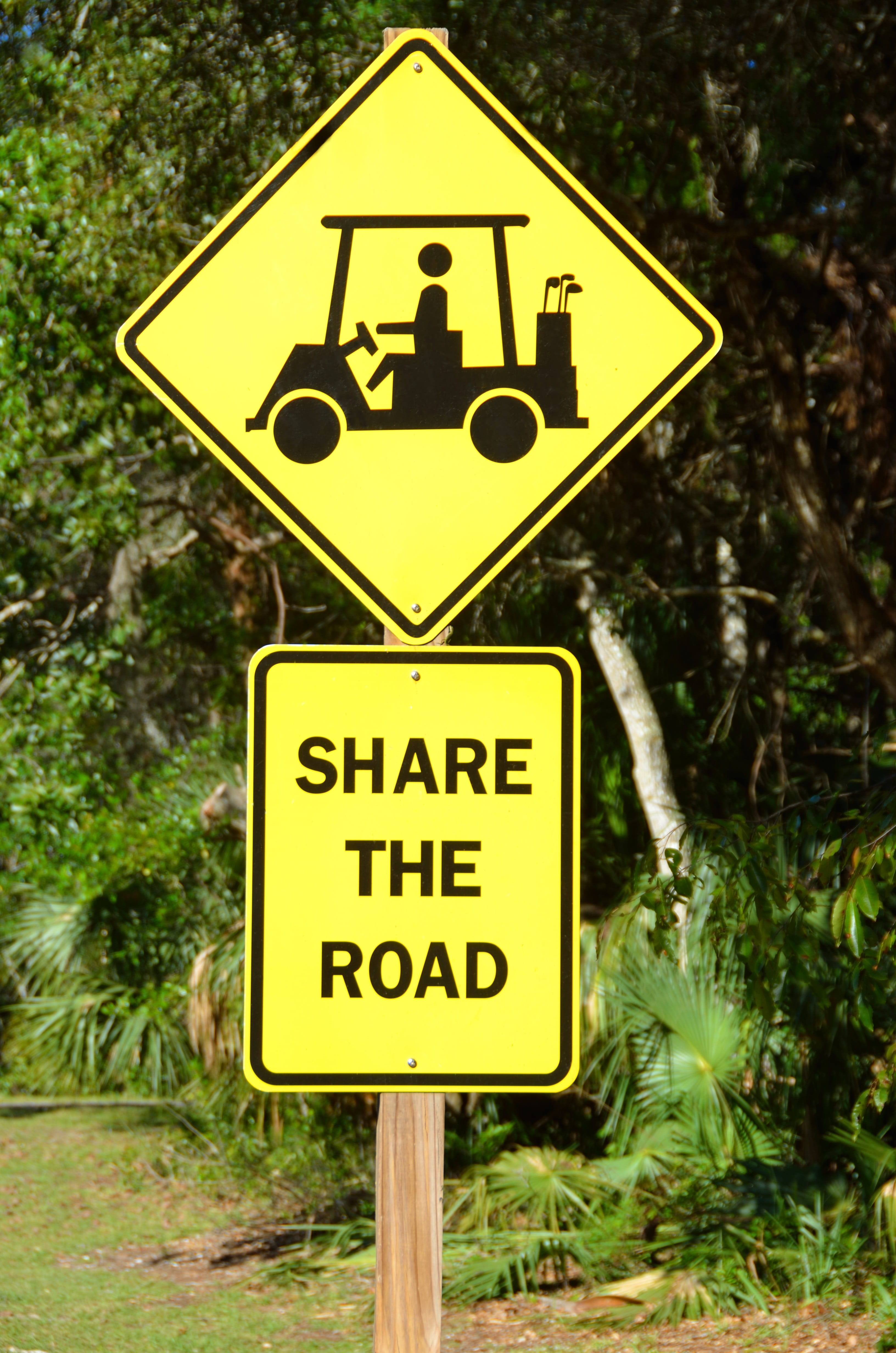 message, text, 4K, no people, sport, equipment, course, vehicle, danger, share the road, transportation, car, day, tree, golf, western script, road, guidance, Phone HD Wallpaper