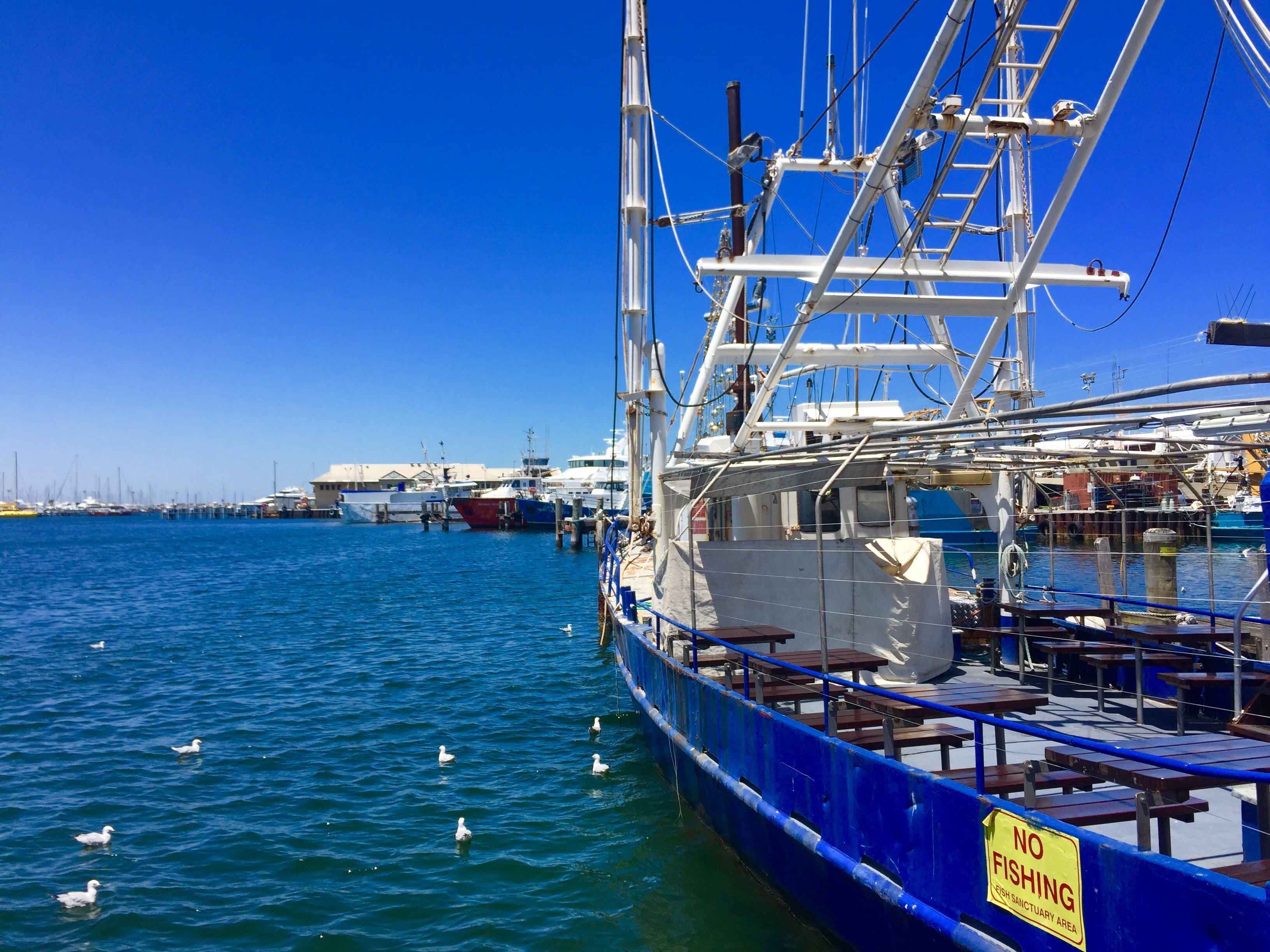 moored, water, blue, mode of transportation, harbor, nature, marina, sky, day, no people, jetty, dock, australia, perth, clear sky, mast, transportation, HD Wallpaper