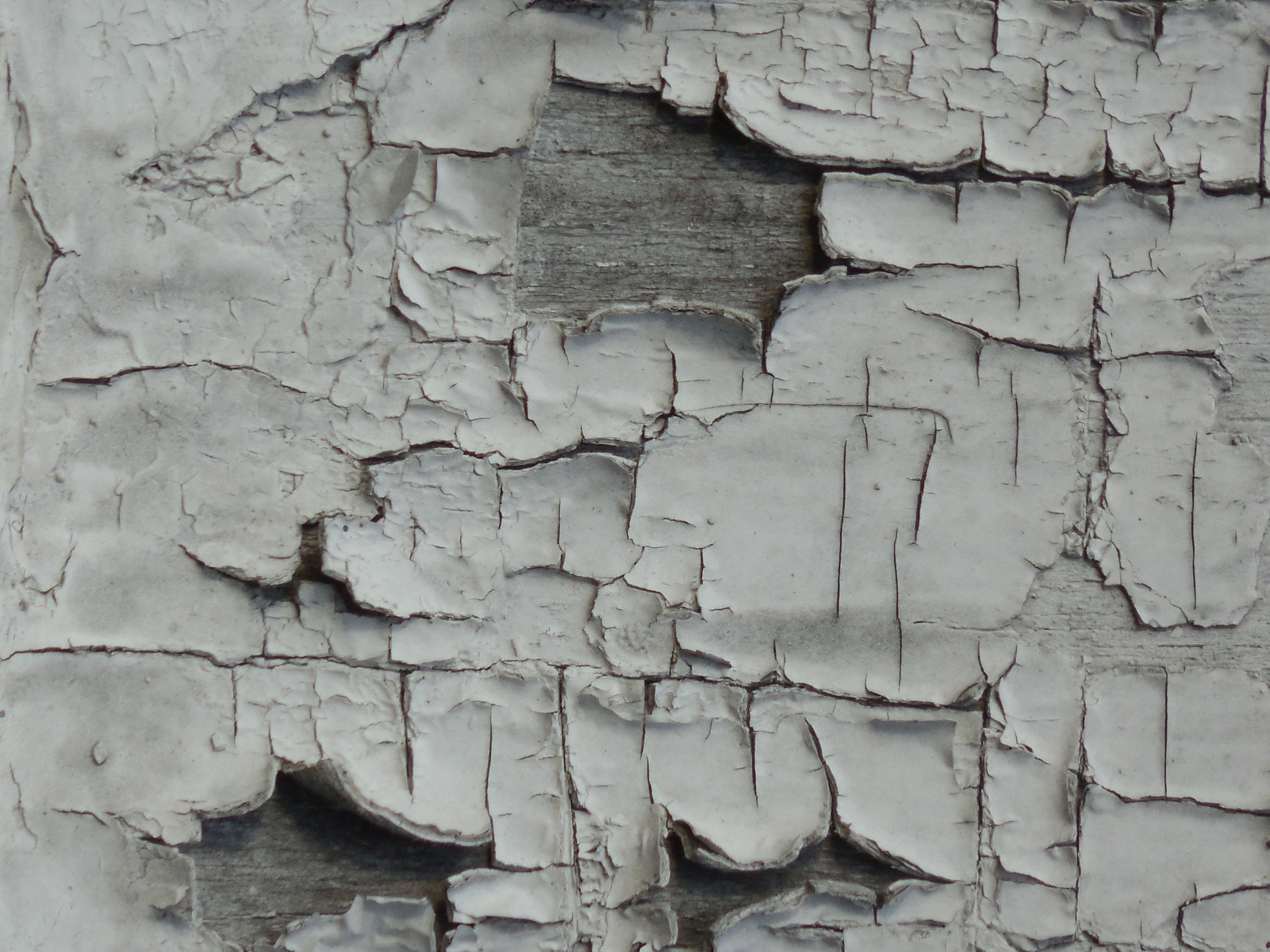 colour, textured, deterioration, white, exposed, chipped, full frame, dry, coarse, built structure, old, rough, wood, outdoors, ruined, decline, wooden, HD Wallpaper