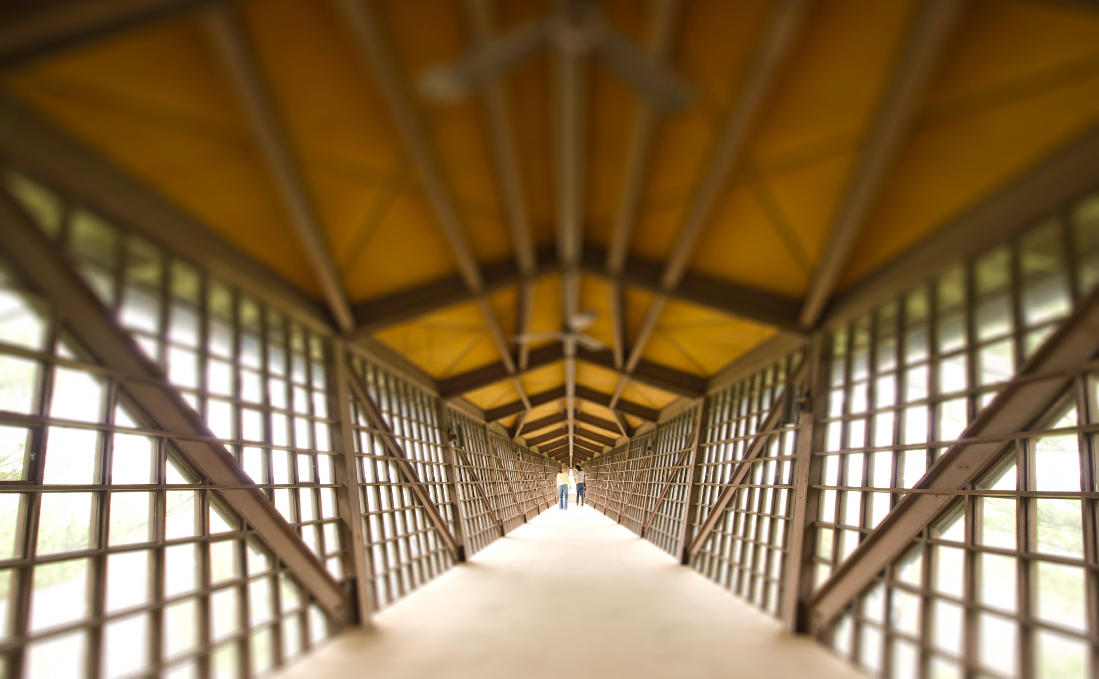 the way forward, day, 4K, disorientation, corridor, house, direction, metal, Wisconsin, building, low angle view, transportation, roofings, rock, empty, HD Wallpaper