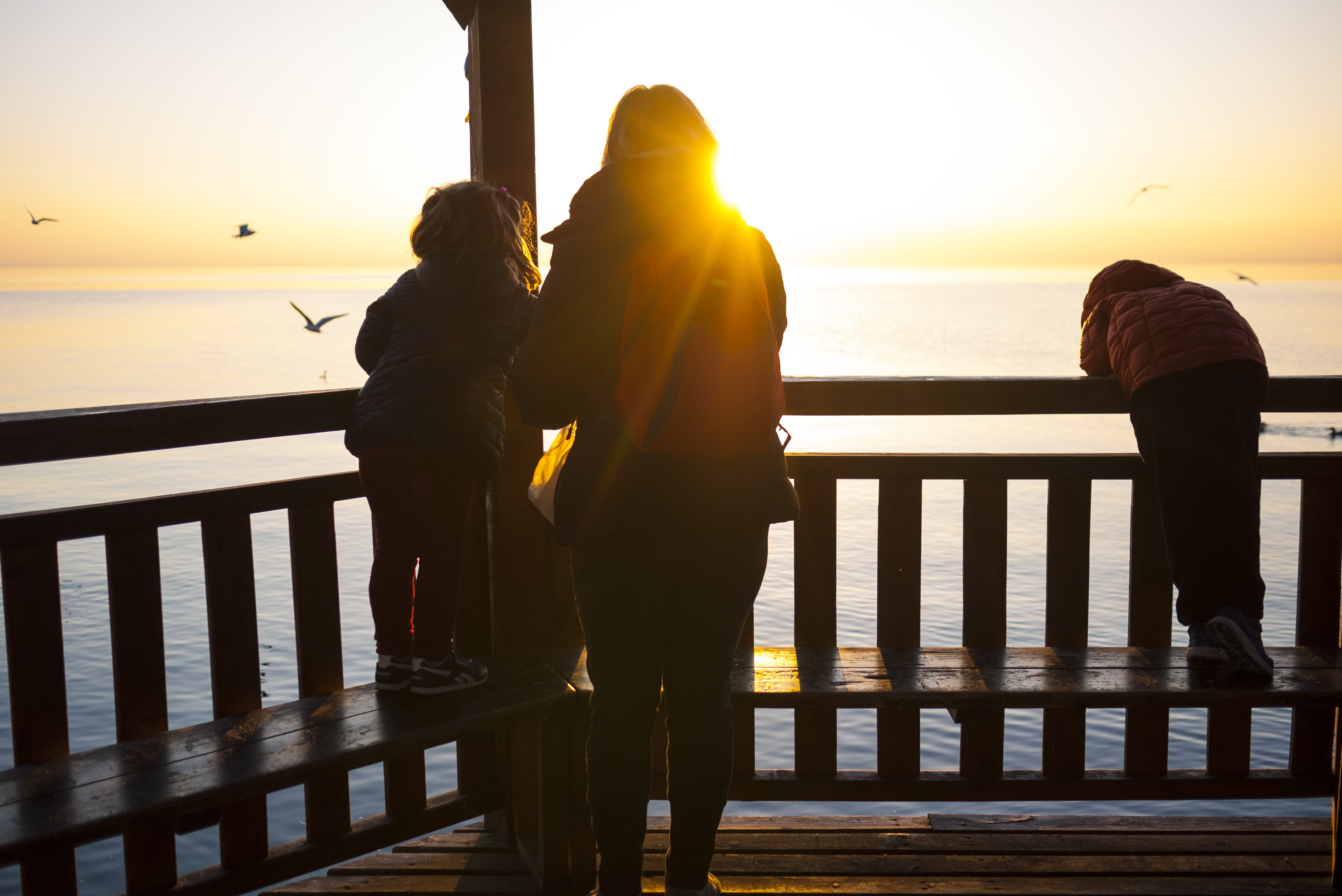 wooden, heterosexual Couple, men, outdoors, people, brown, vacations, water, women, railing, nature, silhouette, sunlight, standing, lifestyles, 4K, beauty in nature, HD Wallpaper
