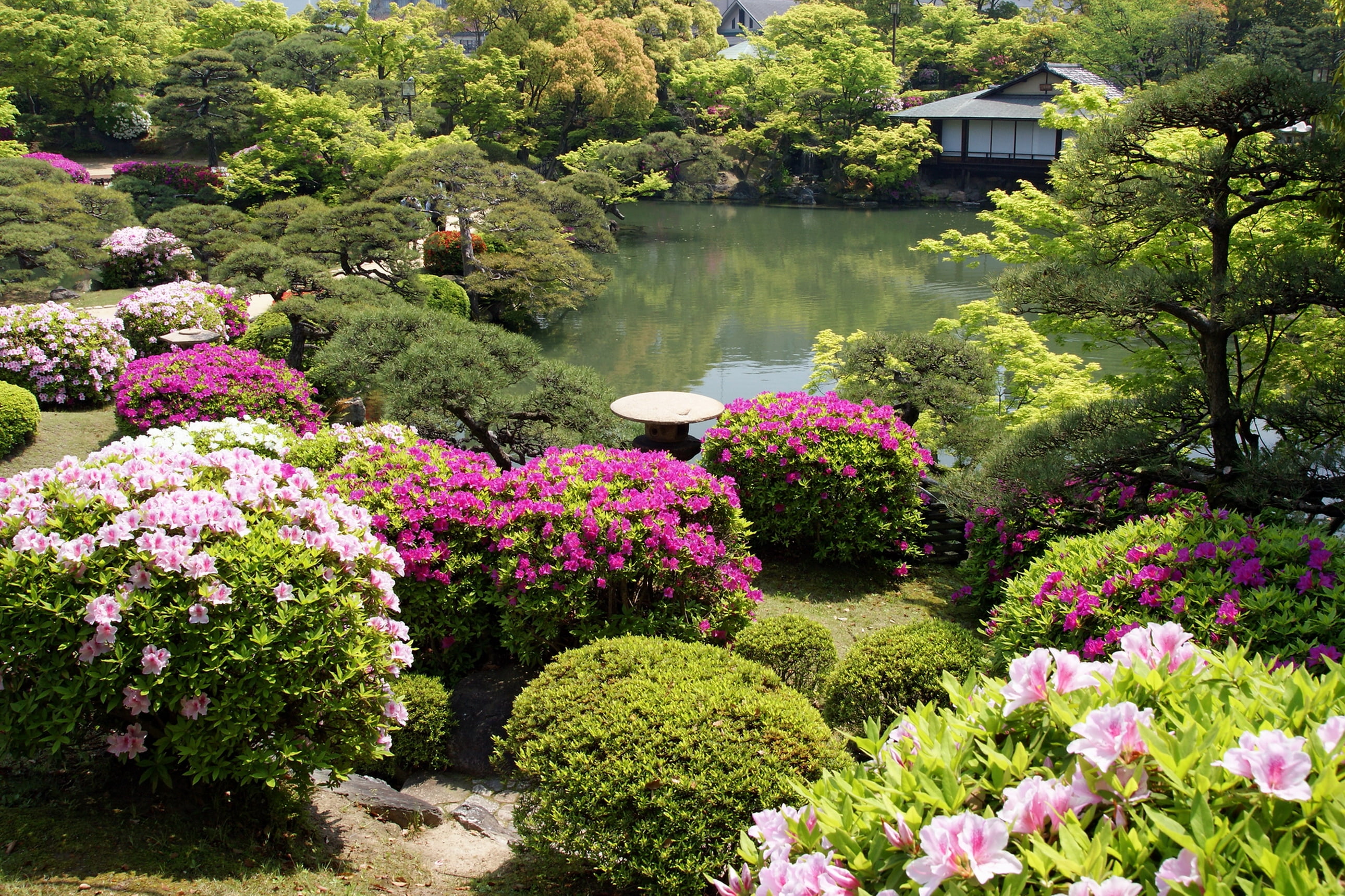 decoration, flowerbed, formal Garden, flowering plant, bush, green Color, pond, no People, pink Color, springtime, 2K, outdoors, lake, flowers, plant, HD Wallpaper