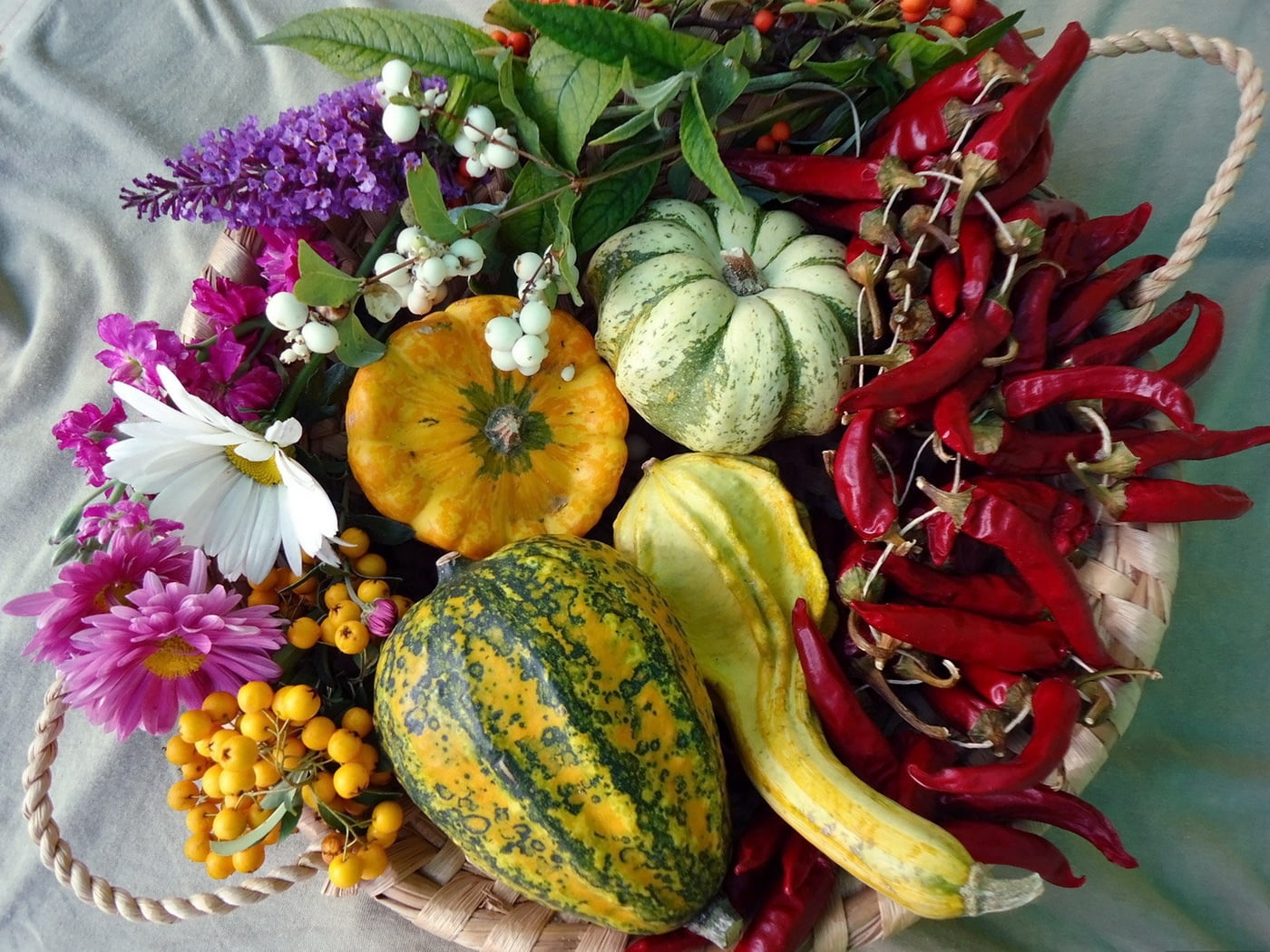 thanksgiving, food and drink, orange Color, chilies, october, pumpkin, berries, season, crop, ripe, holiday, flowering plant, healthy Eating, multi Colored, HD Wallpaper