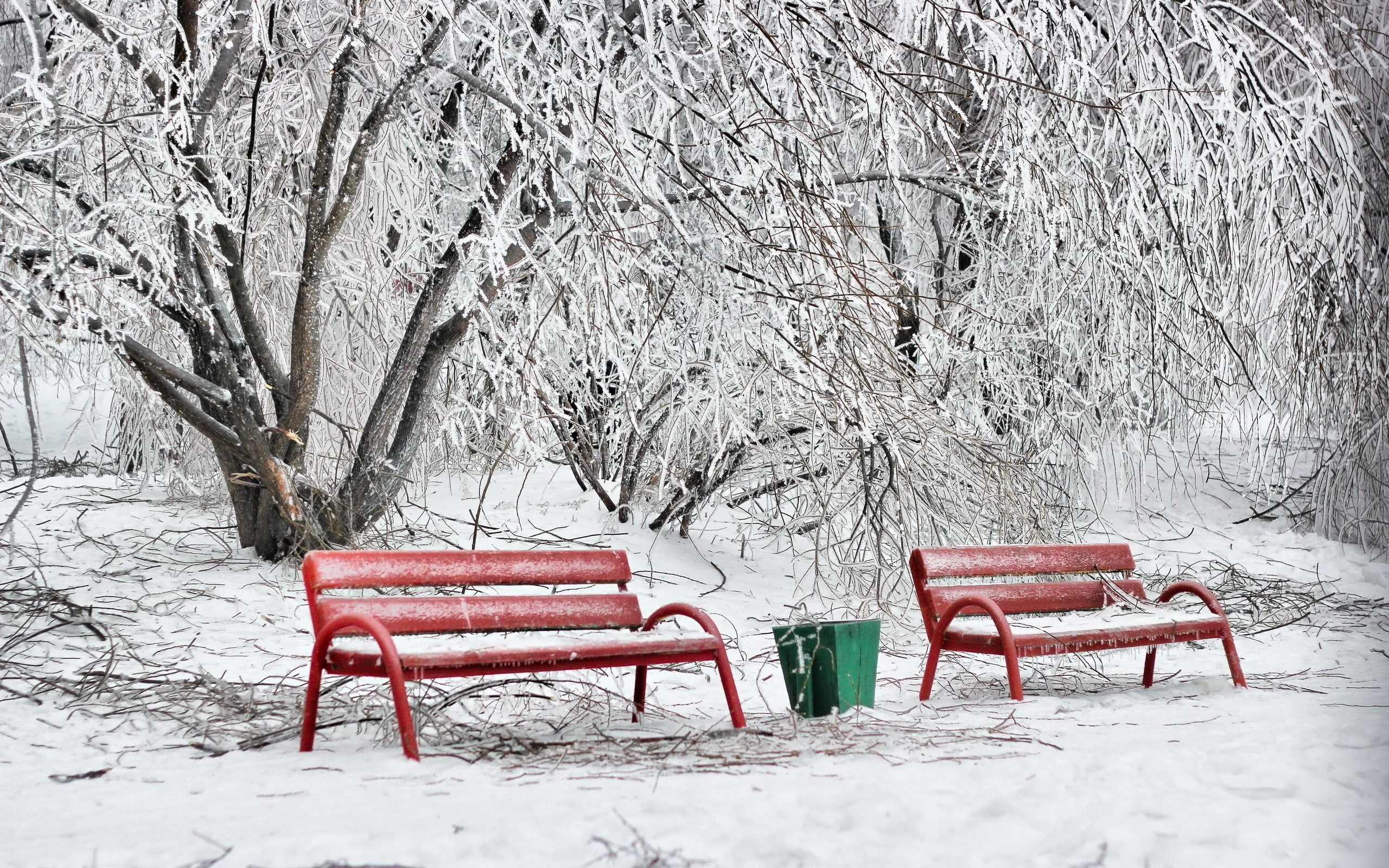 tree, white color, frozen, Snow, snowing, absence, Ballot box, seat, beauty in nature, park bench, park, Red, extreme weather, blizzard, chair, outdoors, HD Wallpaper