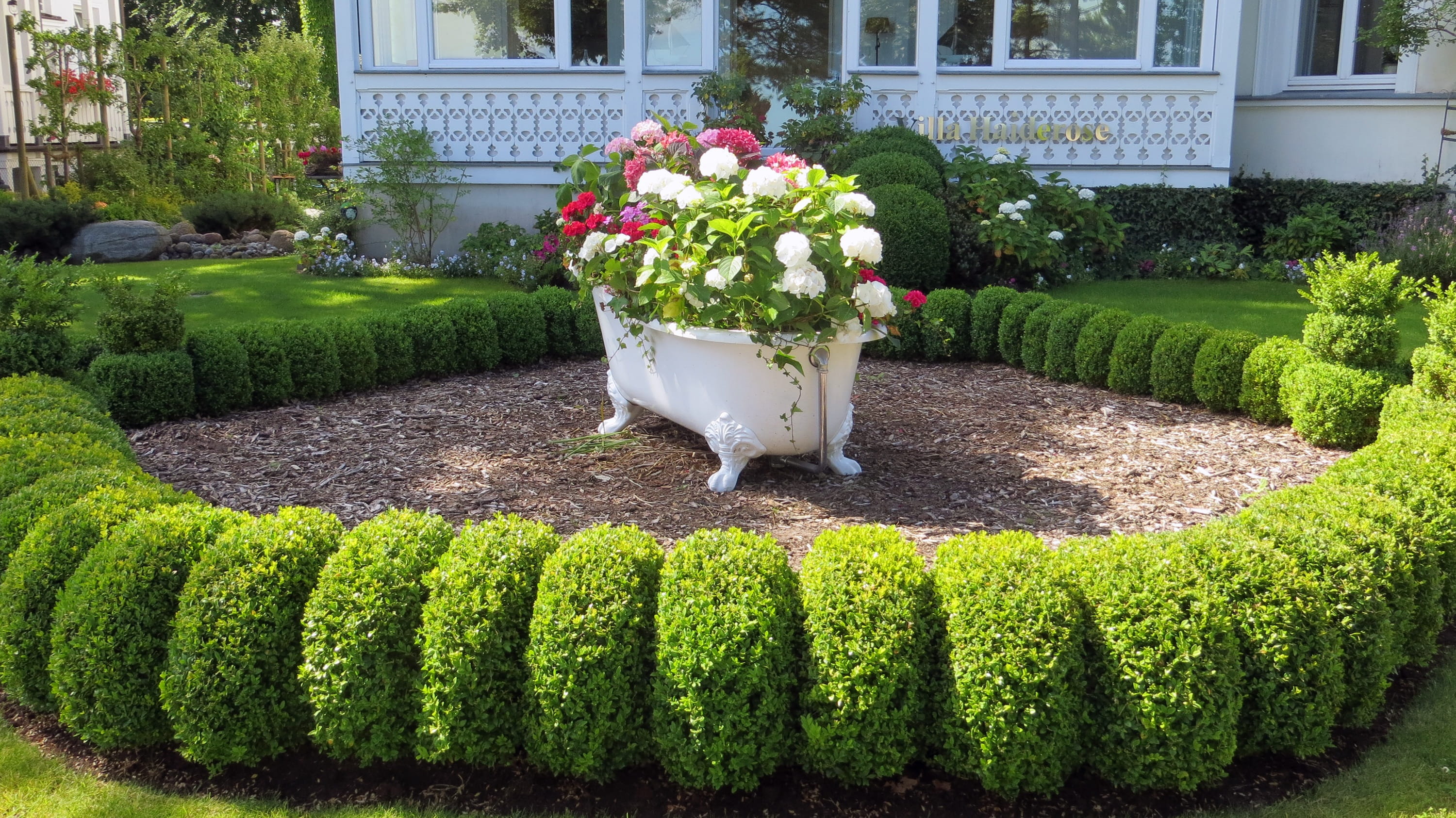 agriculture, built structure, 2K, Catcher, planting, flowering plant, floral decoration, planters, day, flowers, green color, building exterior, Front Yard, HD Wallpaper