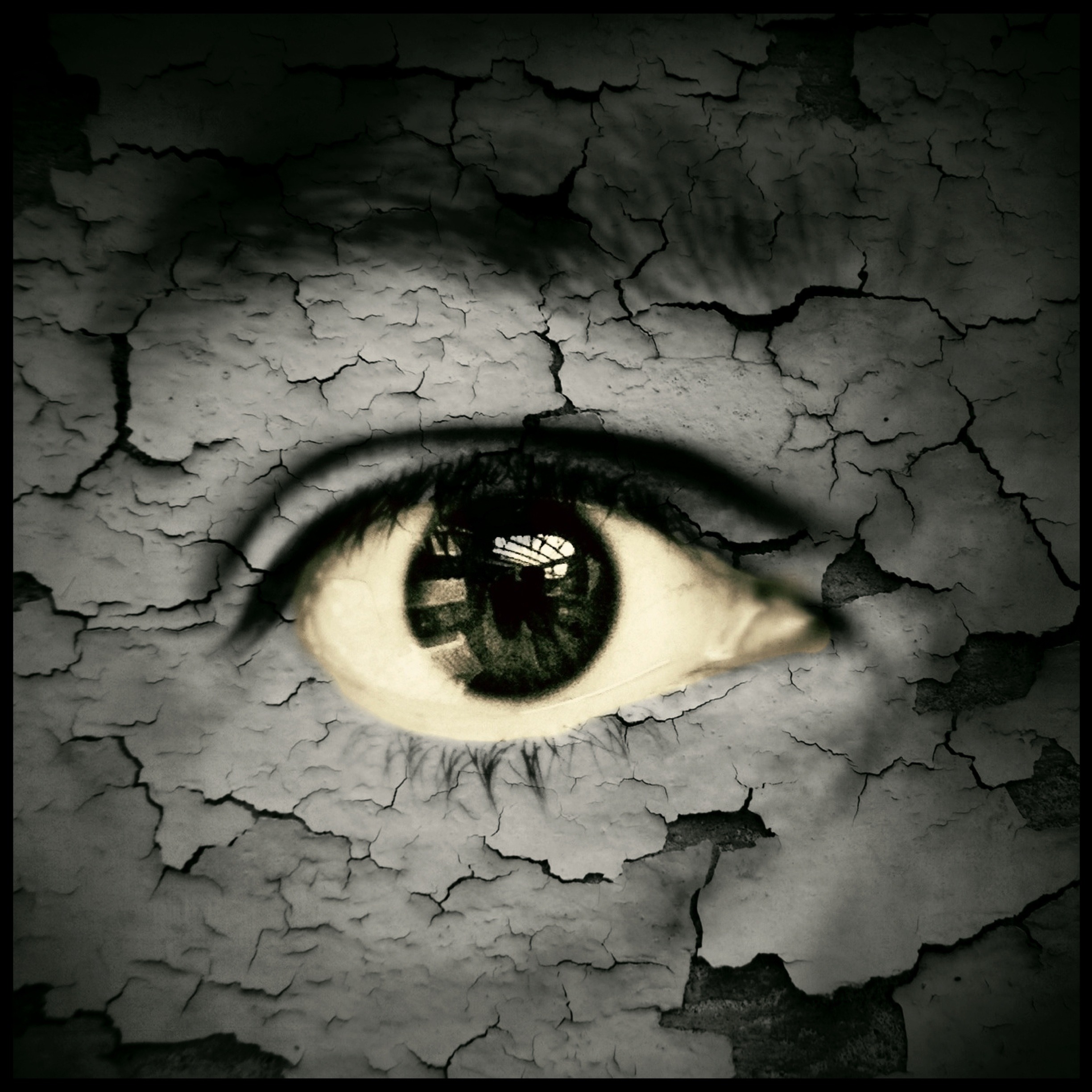 textured, detail, eyesight, 1080P, digital, close-up, real people, eye catcher, looking at camera, transfer print, front view, sensory perception, Phone HD Wallpaper